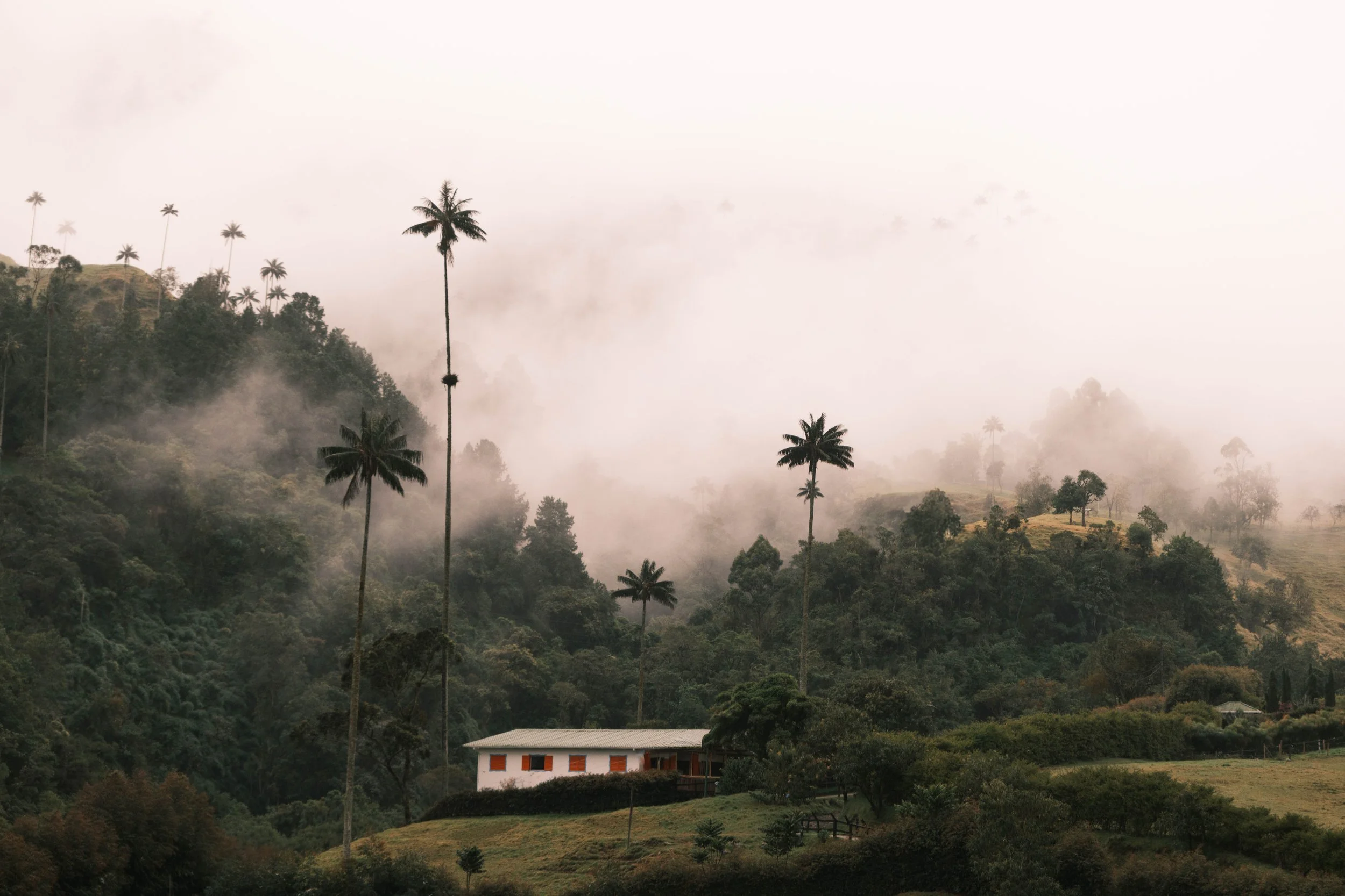Maisonnette sous les géants de la Cocora- Colombie