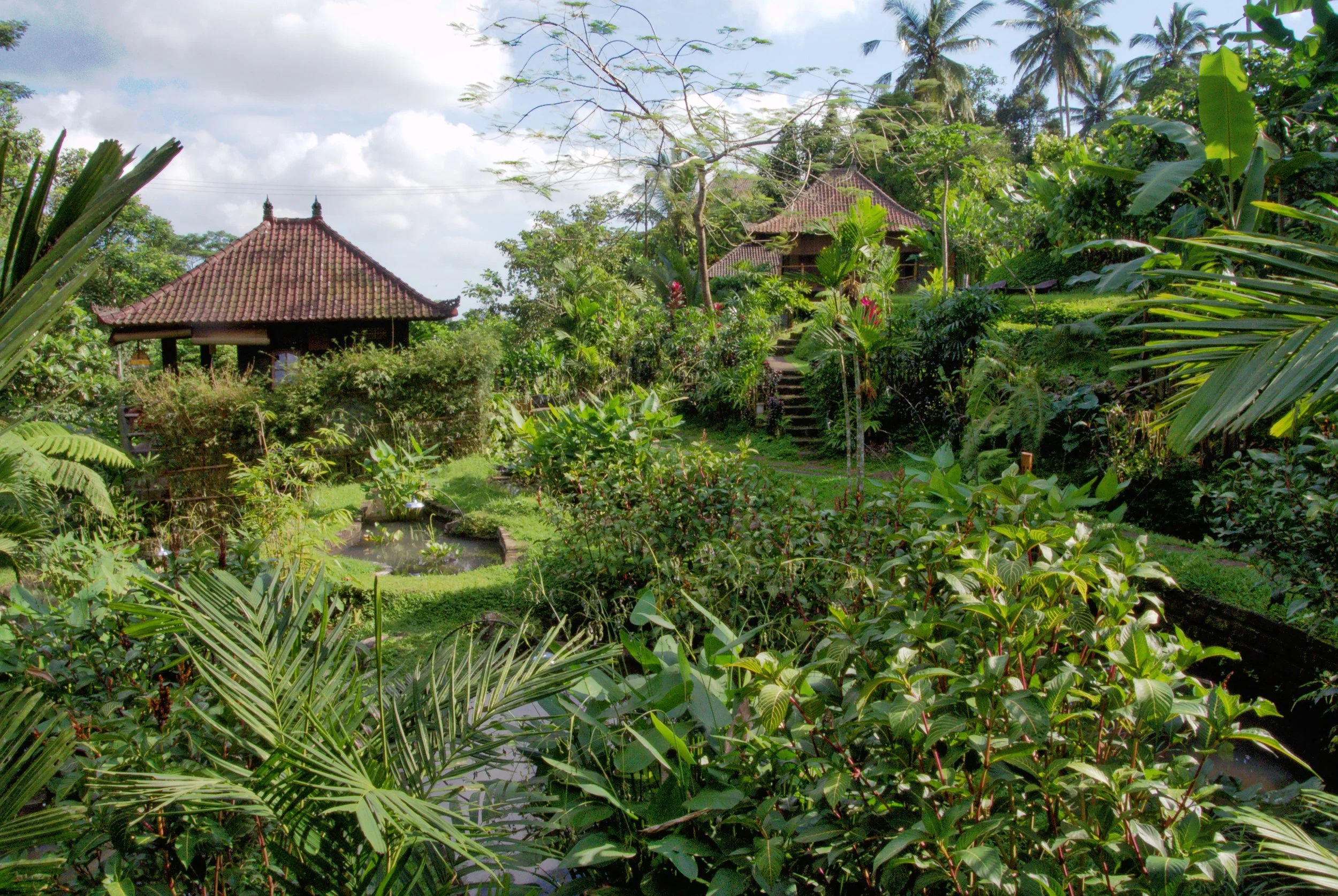 RW Buddha Garden1.jpeg