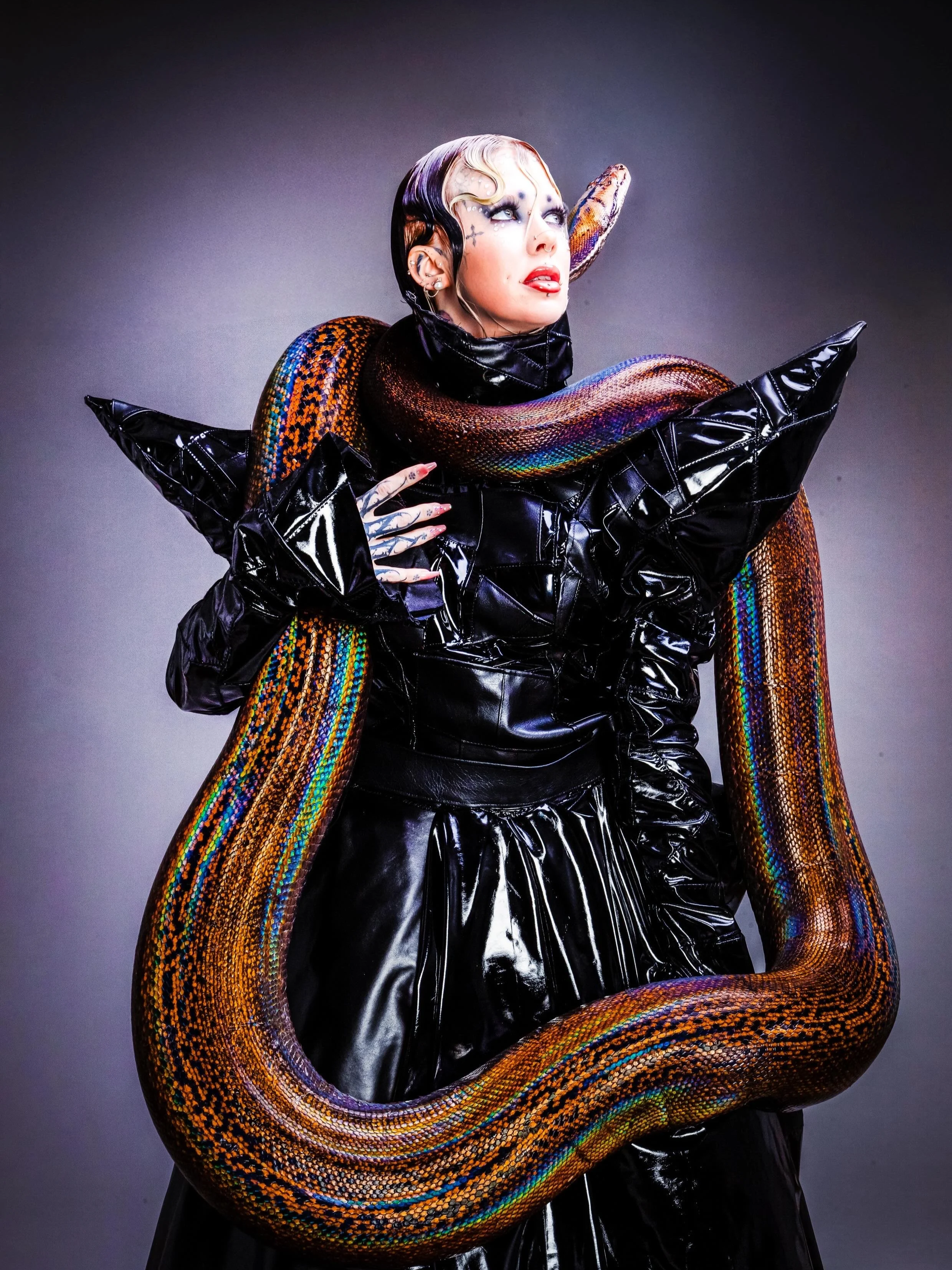 Conceptual styling assistance by Mara Bernemann: Model in high-shine black latex  garment wrapped with a large, colorful boa constrictor.