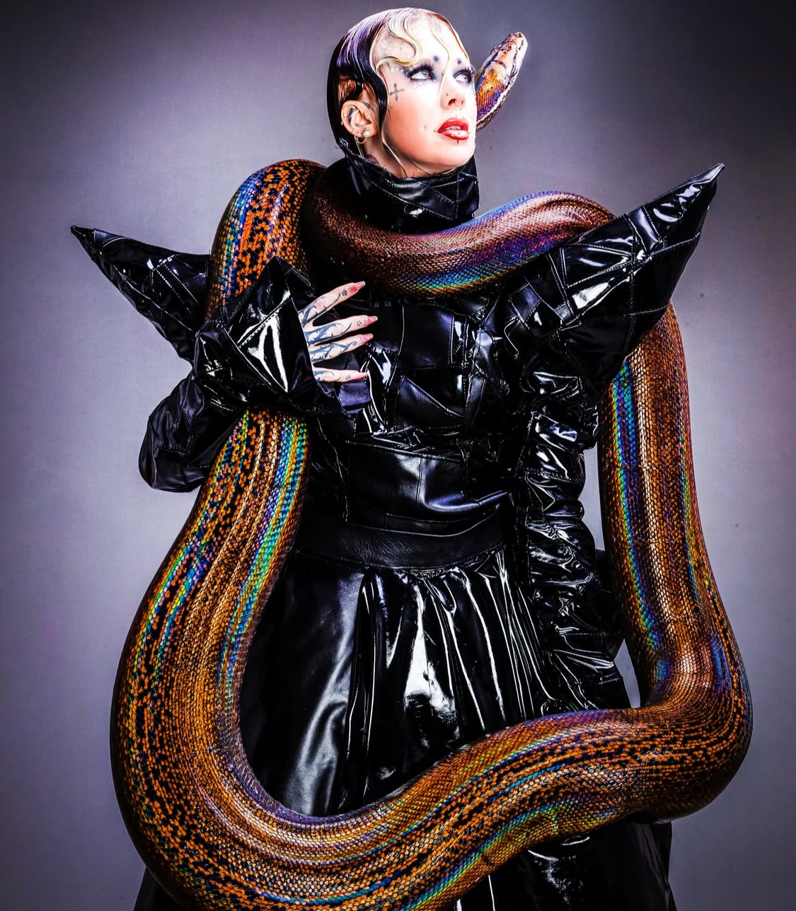 Avant-garde fashion styling: Model in angular black shoulder pads and vintage waves holding a colorful snake.