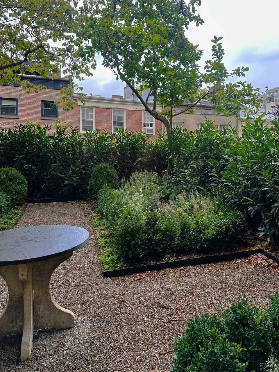 A small urban garden with a concrete table and gravel courtyard, surrounded by lush green shrubs and a small tree, with buildings in the background.
