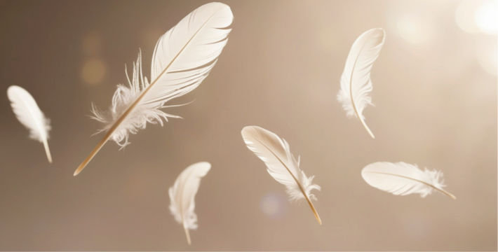 Mediumship 1 Hour Reading