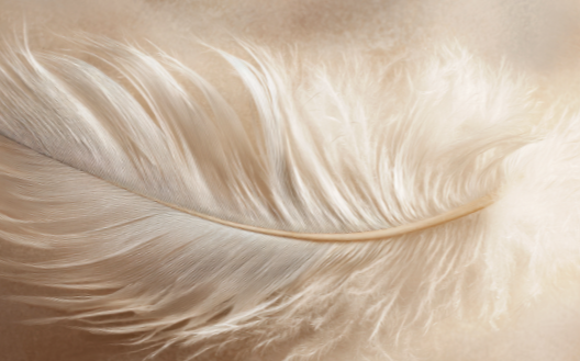 Mediumship 30 Minute Reading