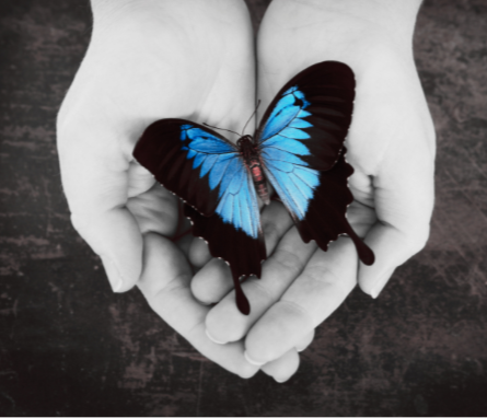 Psychic, Life Guidance 30 Minute