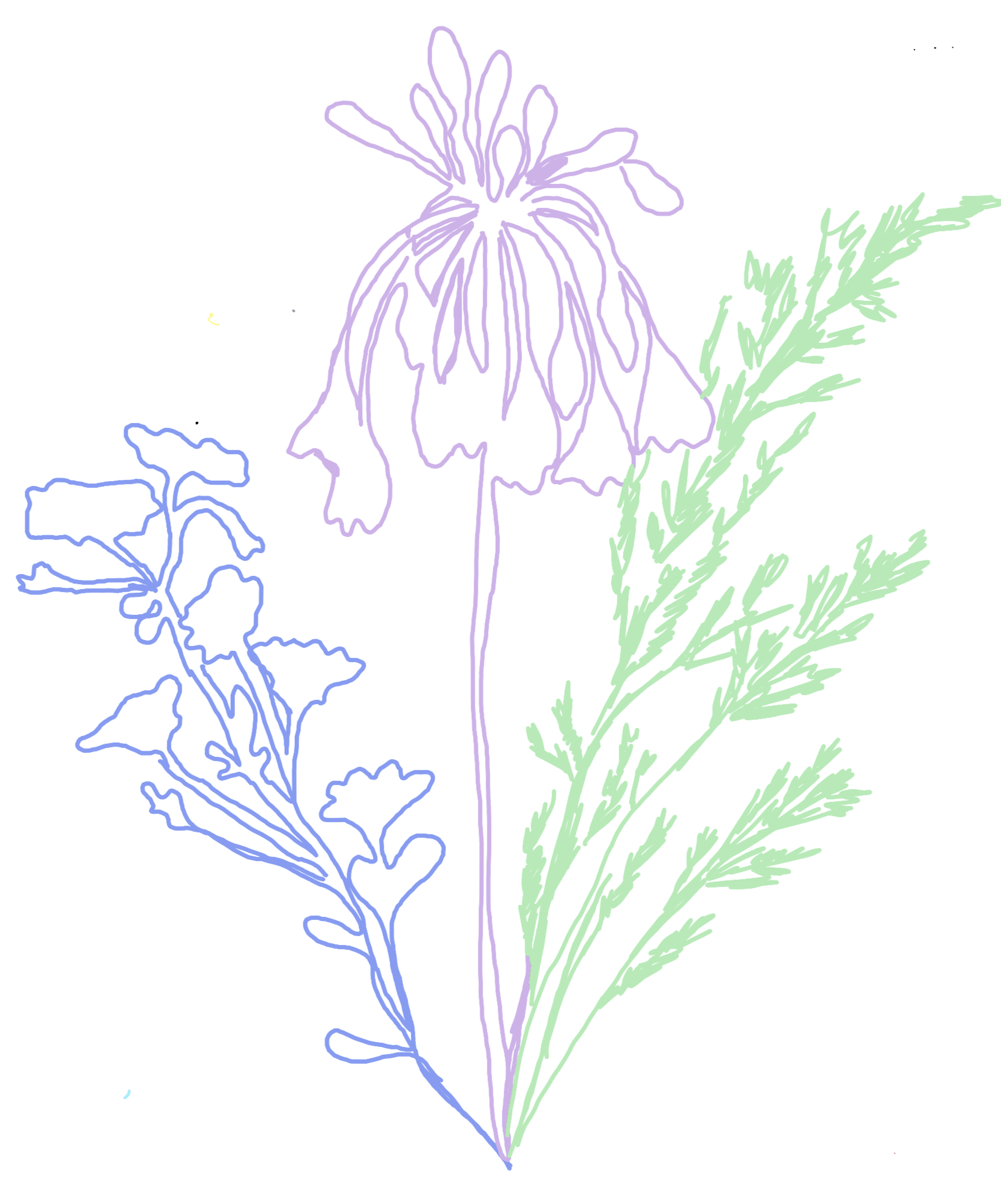 Outline of three different flowers and foliage in pastel colors: lavender, blue, and green, on a white background.