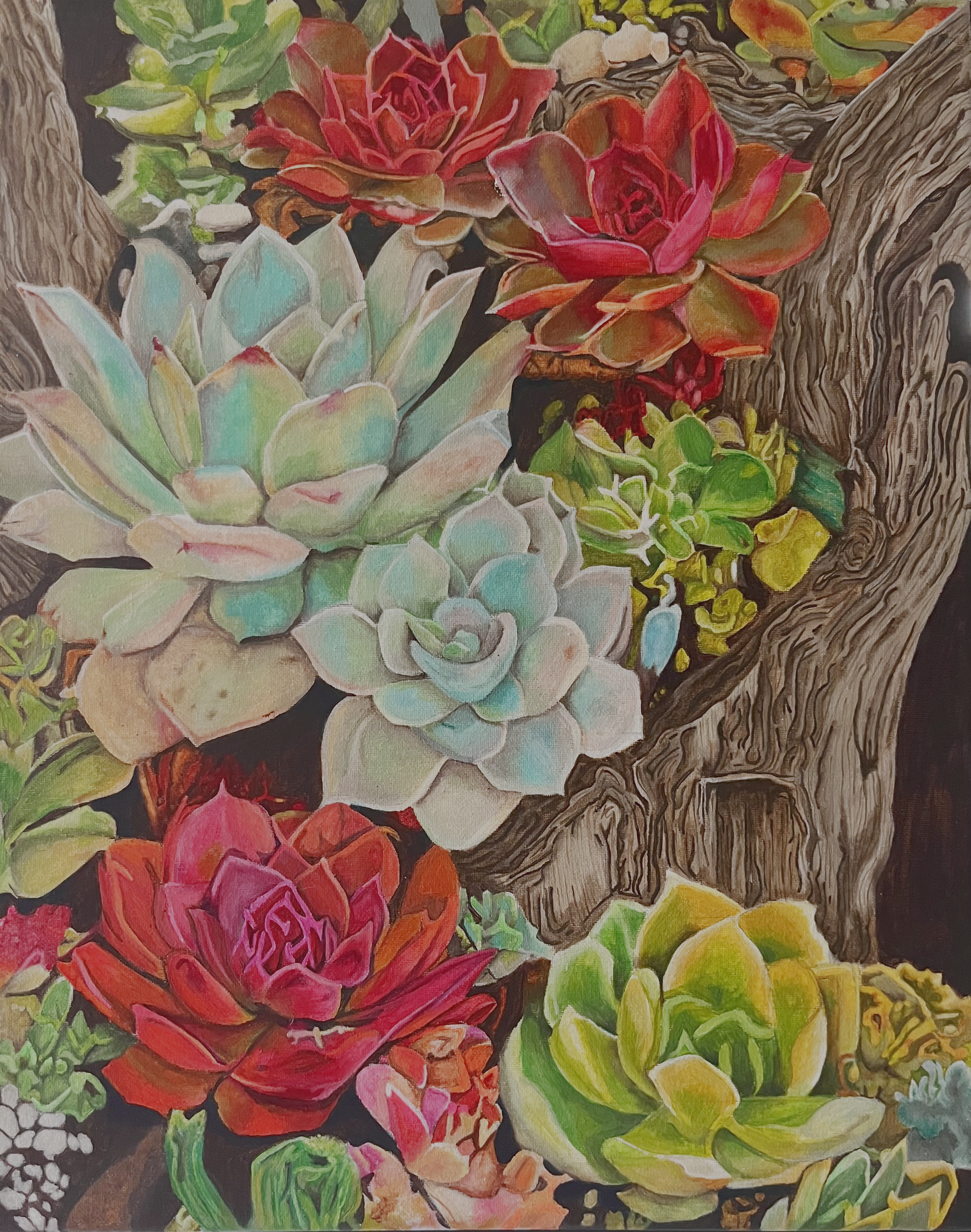 Ascending Succulents 16x20