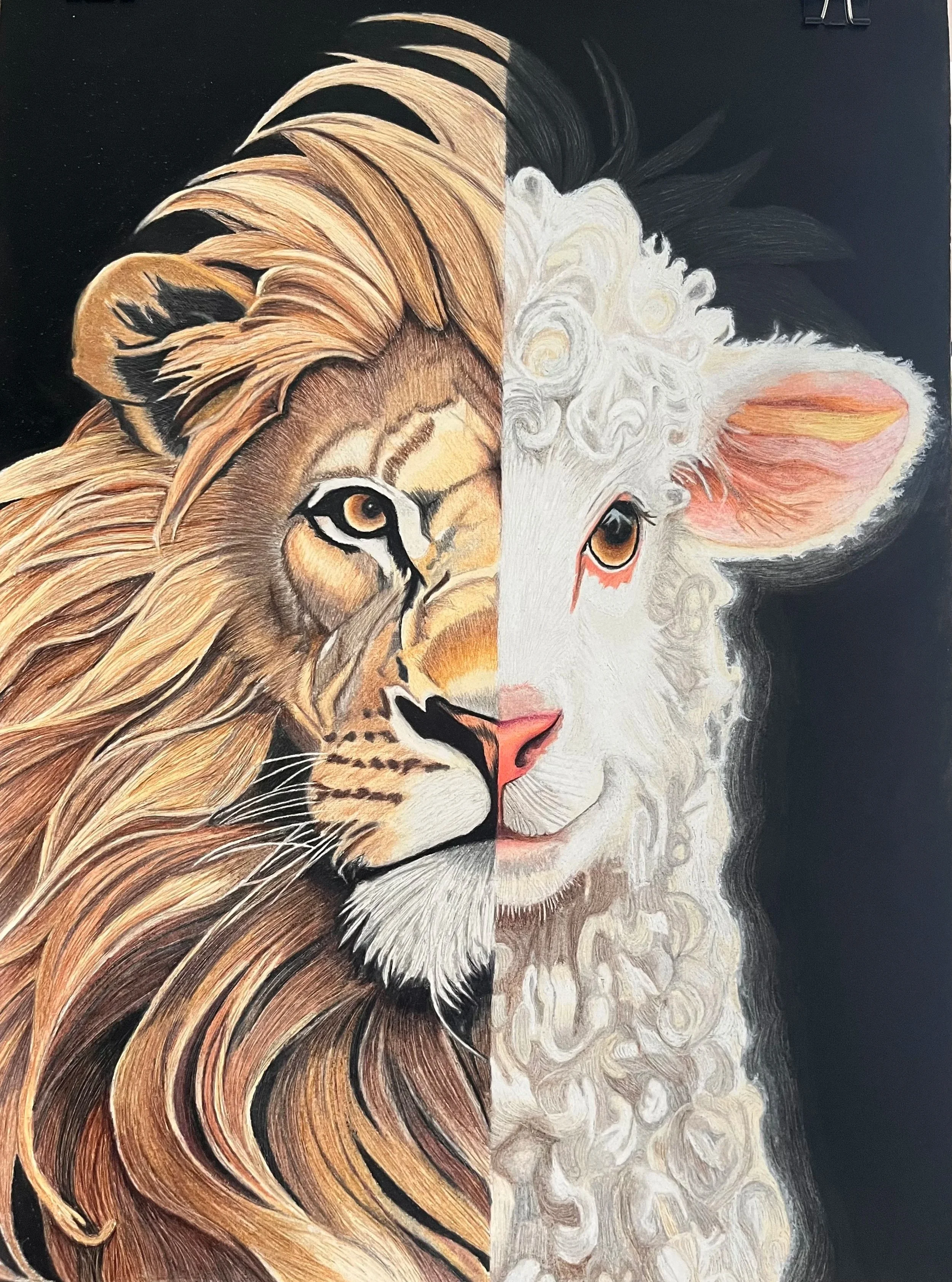 Lion&Lamb (Colored Pencil) 18 X24