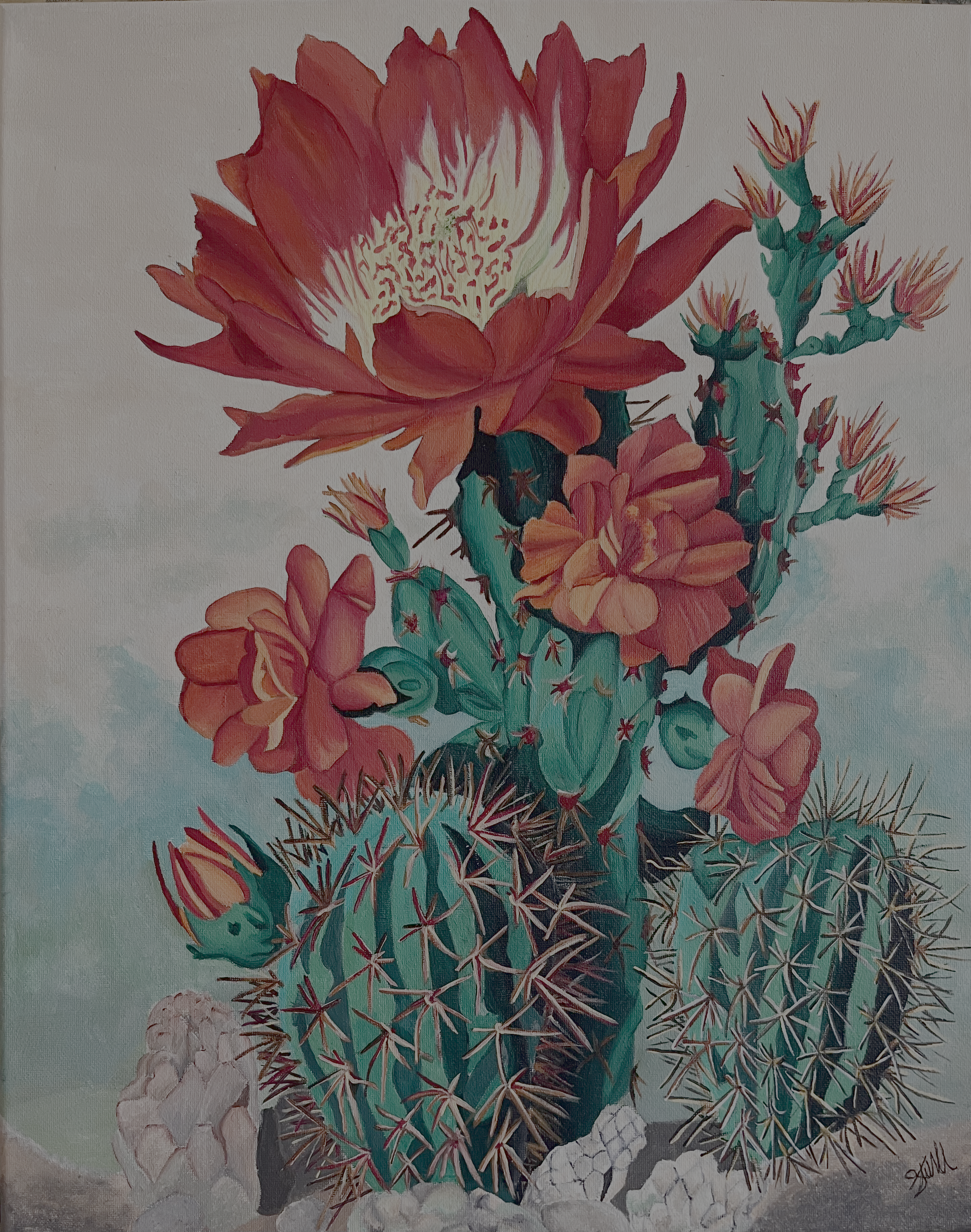 Cactus Flowers (Acrylic) 