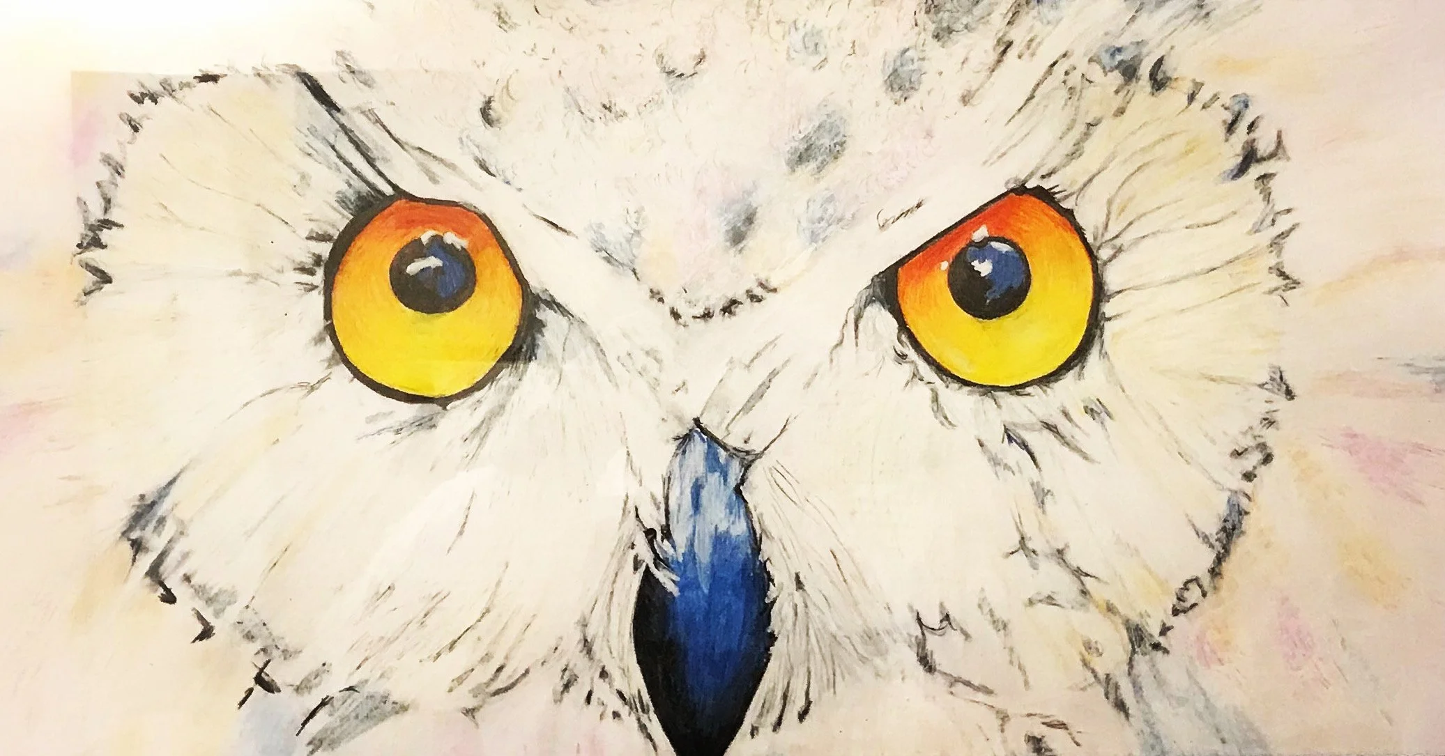 Owl Eyes ( Colored Pencil )
