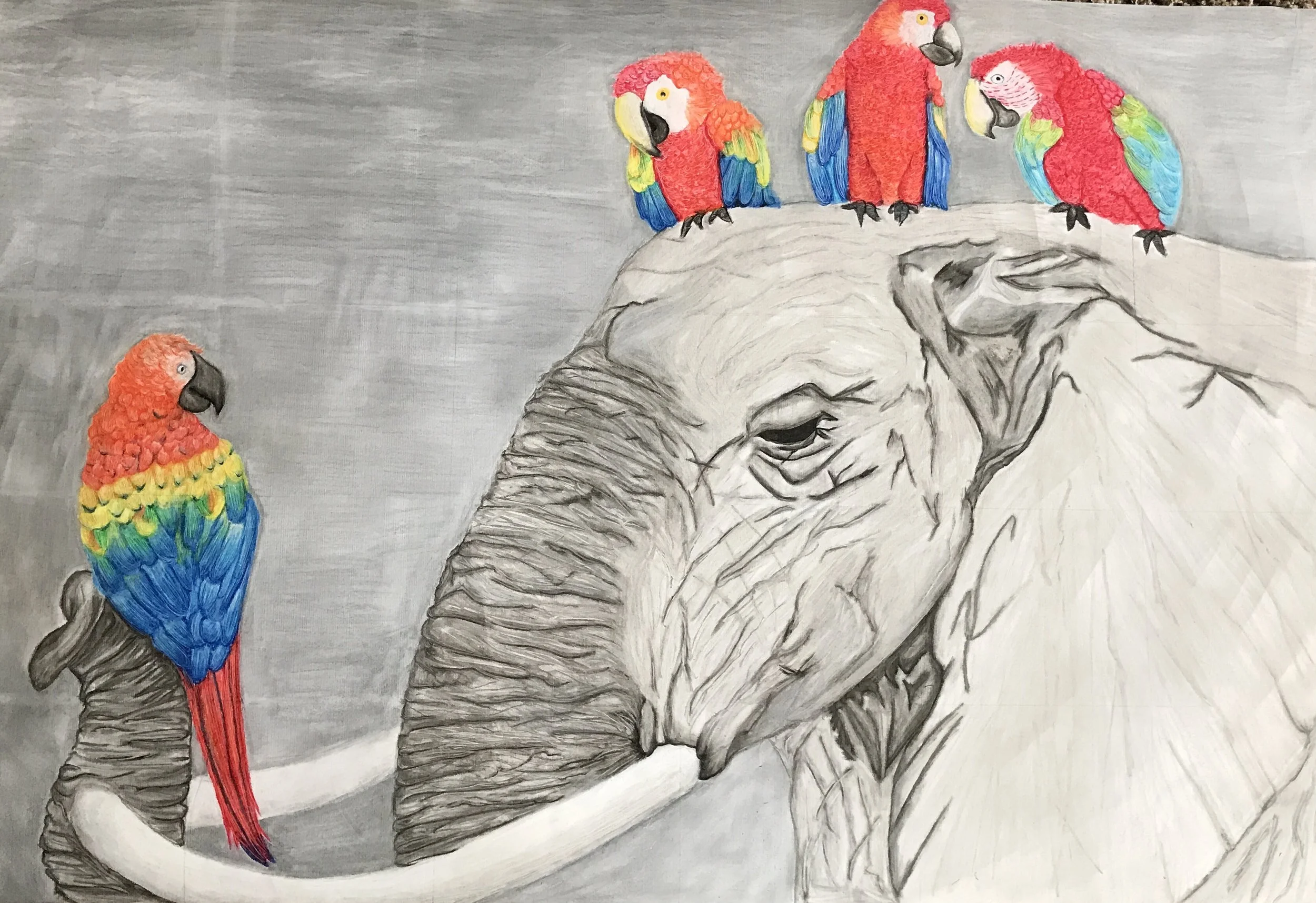 Elephant with Parrots ( Pastel )