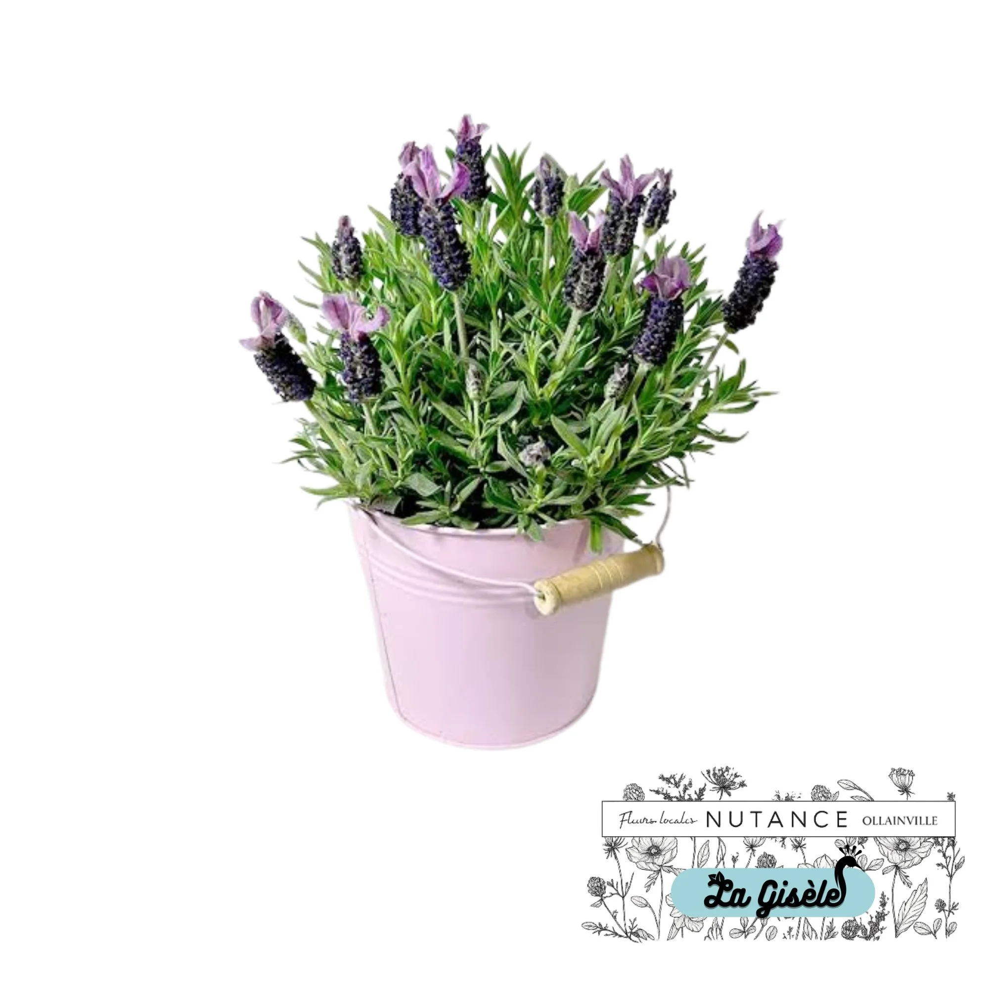 Un bouquet de lavande dans un pot en céramique rose