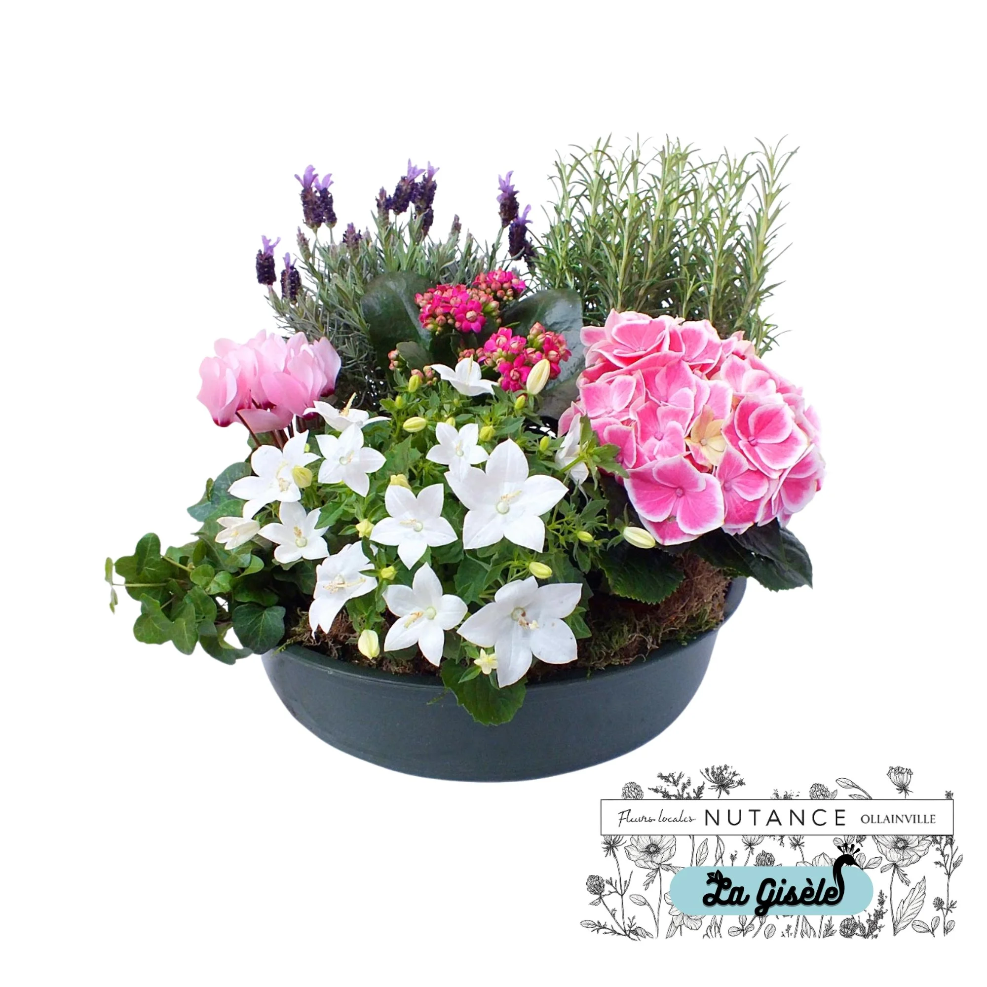 Pot de fleurs avec des plantes en fleurs, dont des hortensias roses et des lavandes violettes, avec un fond blanc. Il y a une étiquette avec le texte 'La Cisèle' et une illustration de fleurs en noir et blanc.