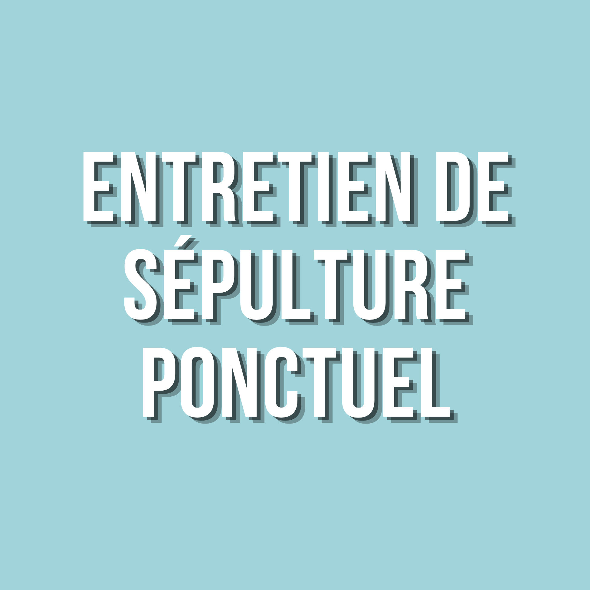 Texte sur un fond bleu clair, indiquant "ENTRETIEN DE SEPULTURE PONCTUEL"