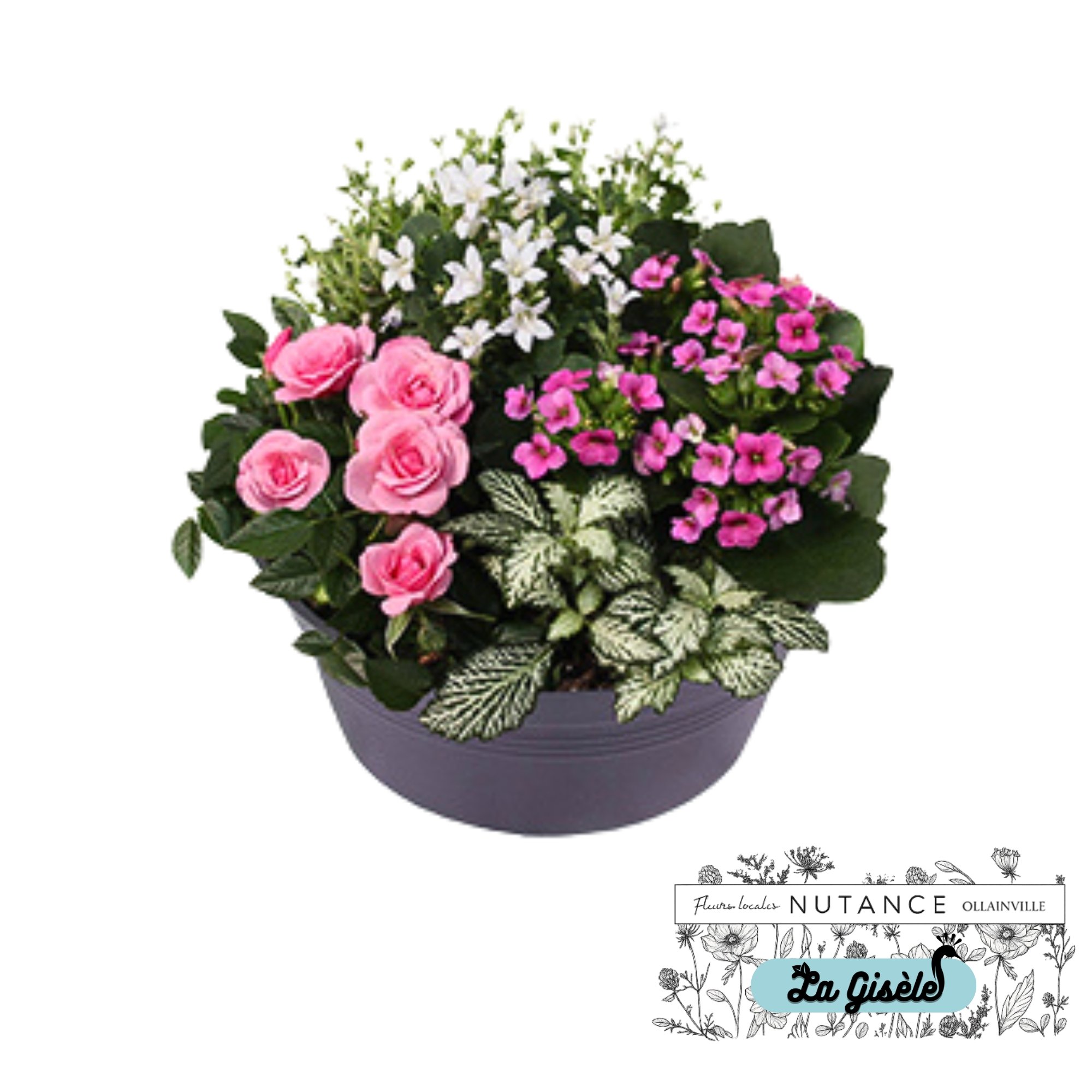 Photo d'un arrangement floral avec des roses roses, des petites fleurs blanches et des fleurs pink dans un pot violet. Fond blanc.