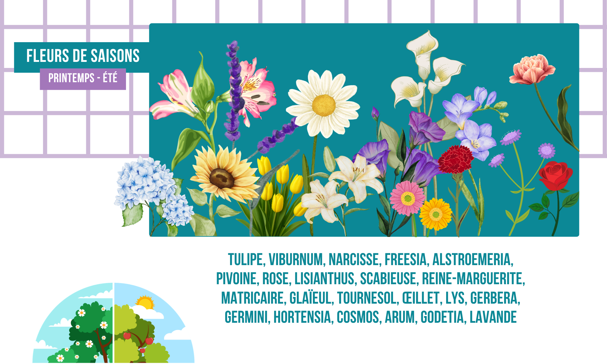 Illustration de différentes fleurs de saison printanières et estivales, avec une liste de noms en français, y compris tulipe, viburnum, narcisse, freesie, alstroemeria, pivoines, rose, lisianthus, scabieuse, reine-marguerite, matricaria, glaïeul, tourne-sol, œillet, lys, gerbera, geranium, hortensia, cosmos, arum, godetia, lavande.