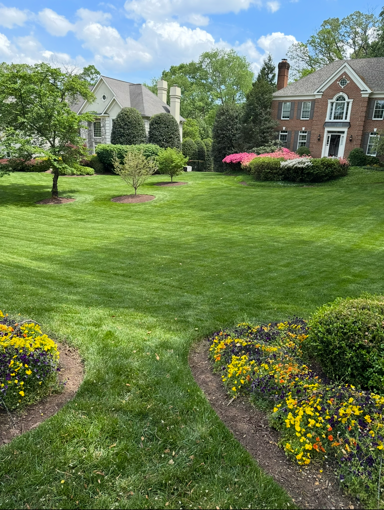 Screenshot 2026-02-18 at 12.45.14 PM.png