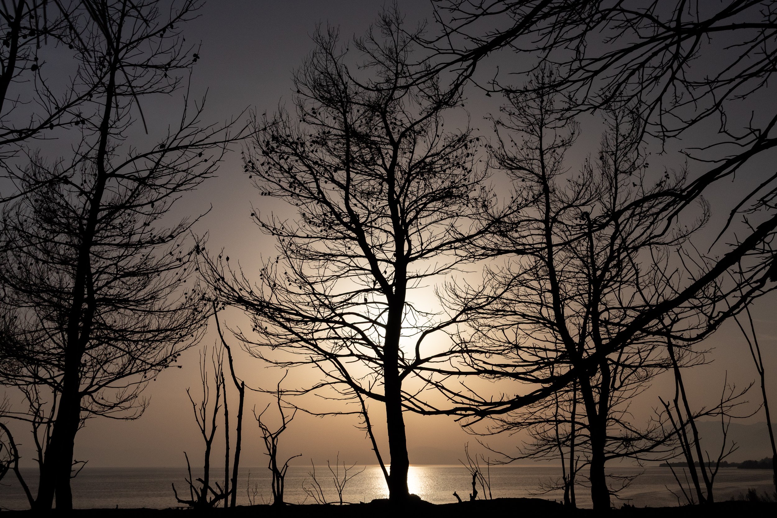 FireSeason_01_AlexGasteratos αντίγραφο.jpg