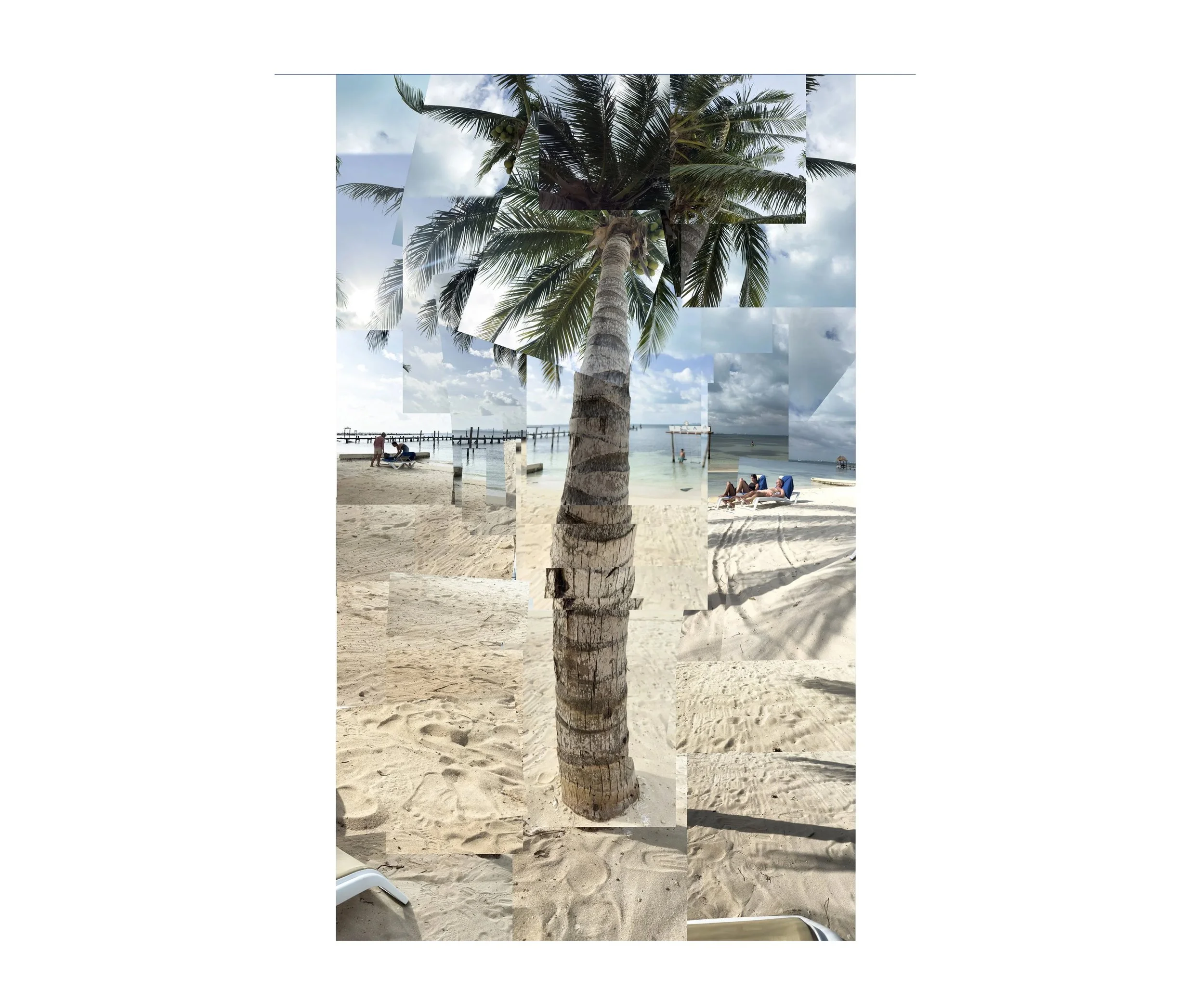 Palm Tree, Isla Mujeres, Mexico 2025  100x60”