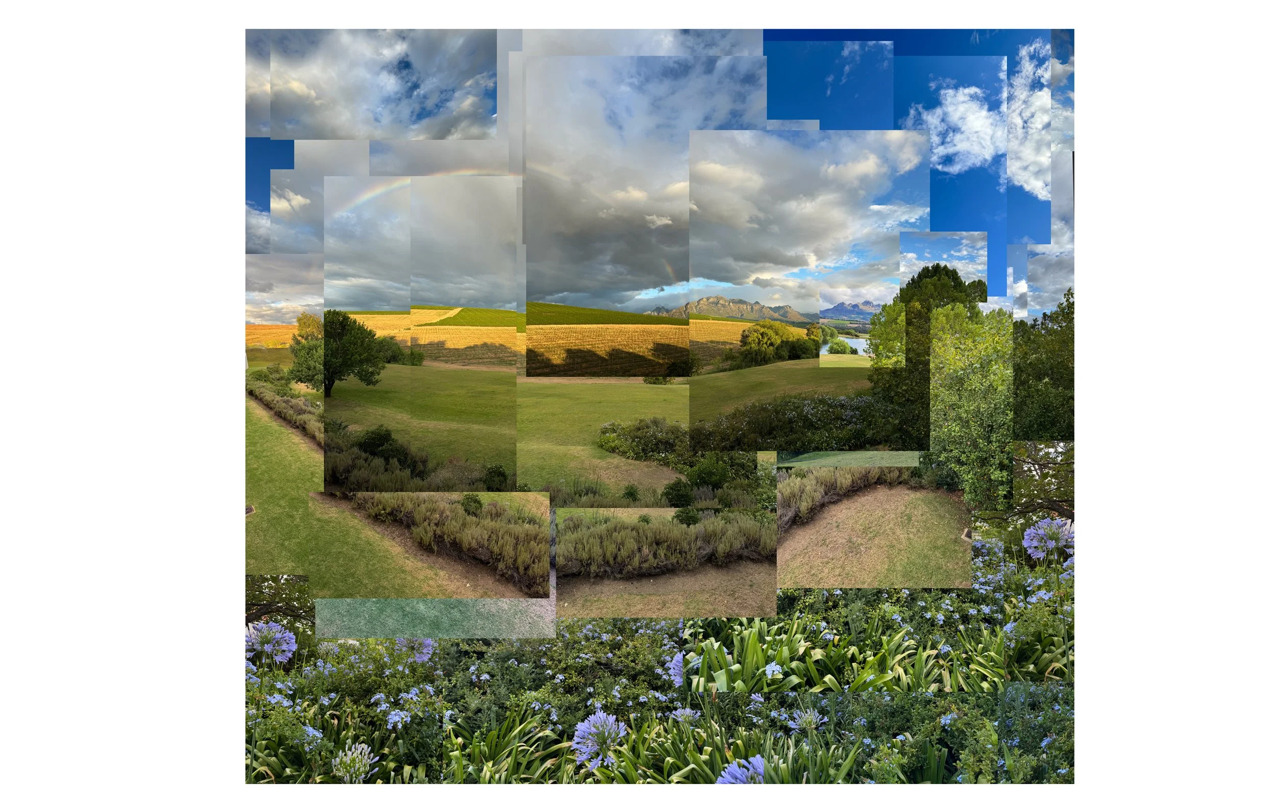 Asara Vineyard, Stellenbosch, South Africa 2024  60x60”