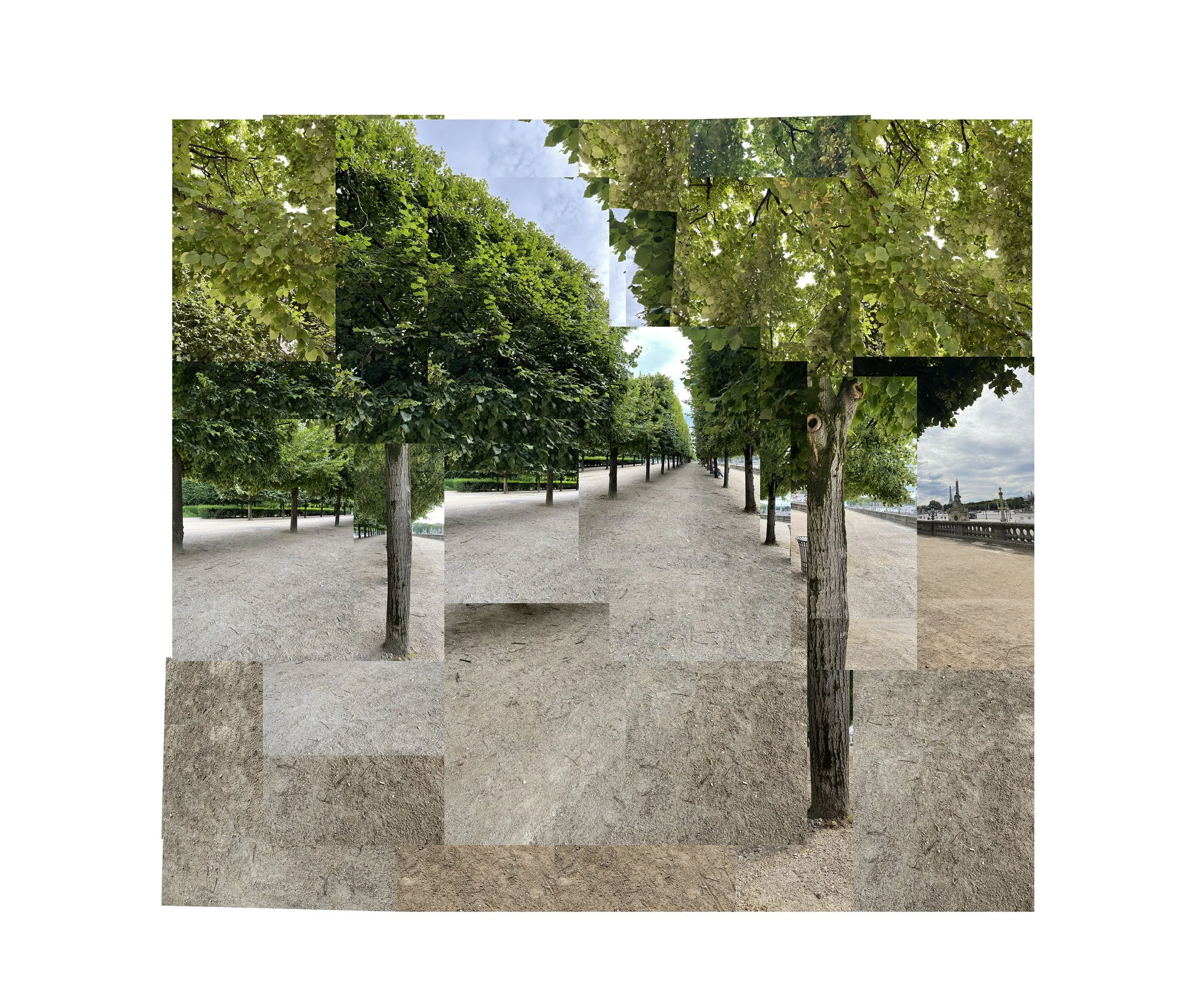 Tuileries, Paris  36"x36"