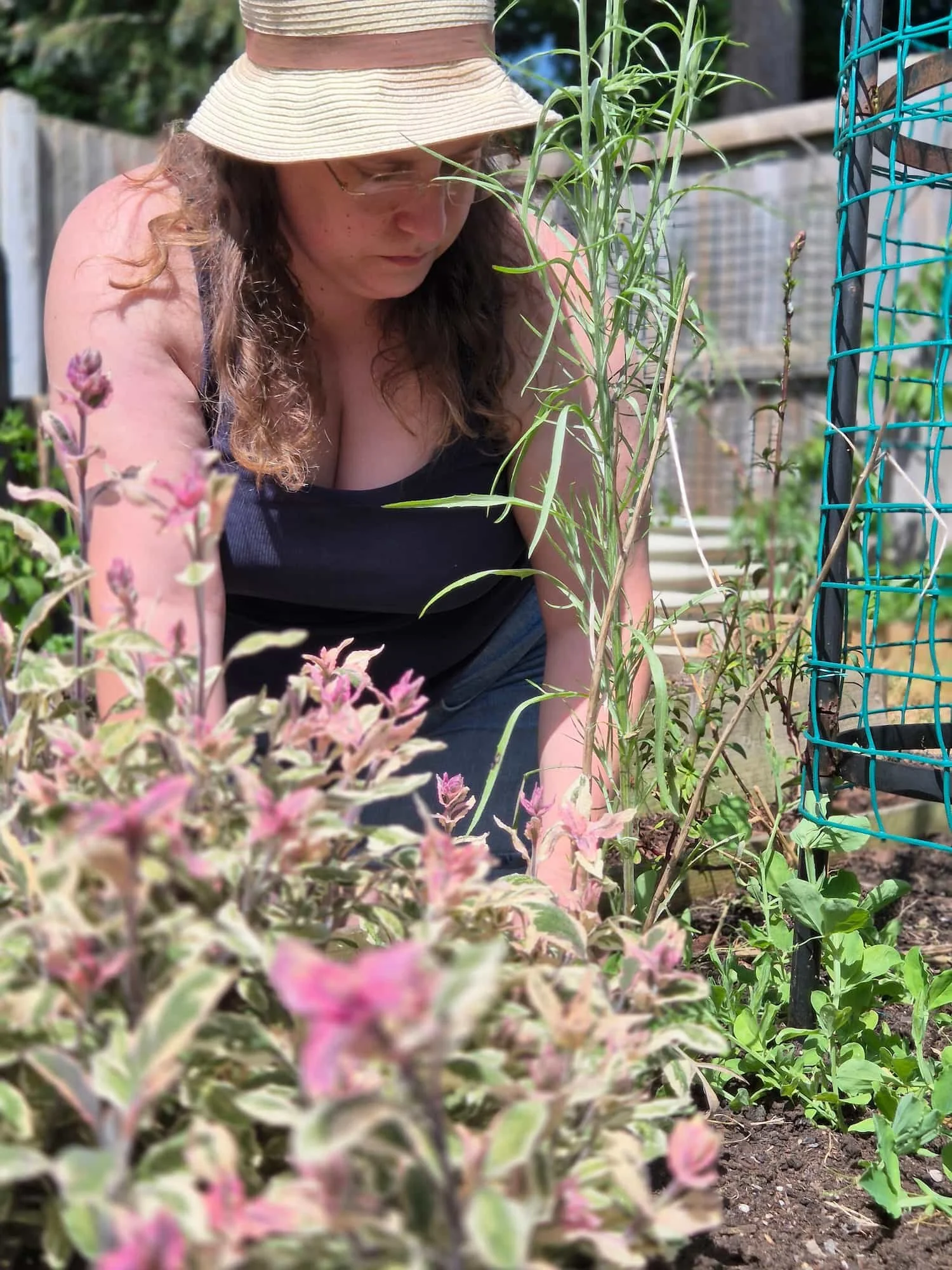 A woman working mindfully in her backyard allotment garden, tending to raised beds surrounded by greenery.