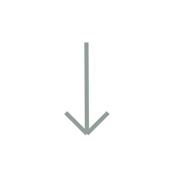 Downward pointing arrow icon