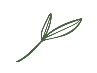 A simple illustration of a green sprig with two leaves and a small flower bud.