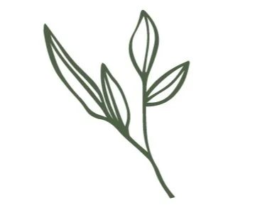 Simple line drawing of a plant with three leaves.