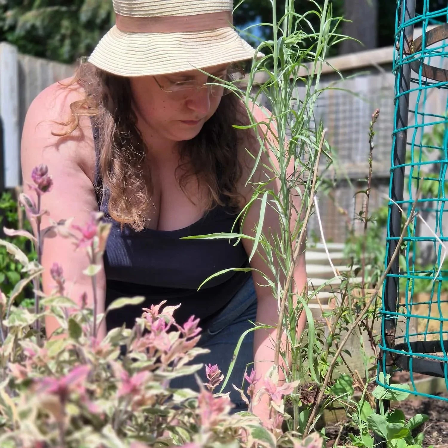 Roots, Roses, and My June Garden Plans