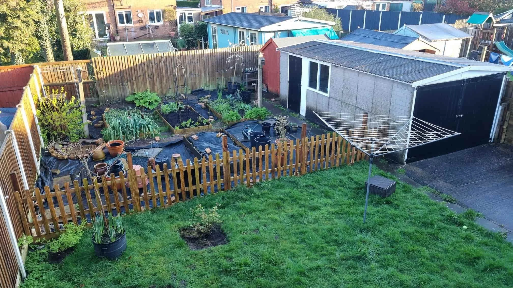 The established allotment garden in 2024, showing multiple rich permaculture beds filled with thriving plants, fruit, and herbs.