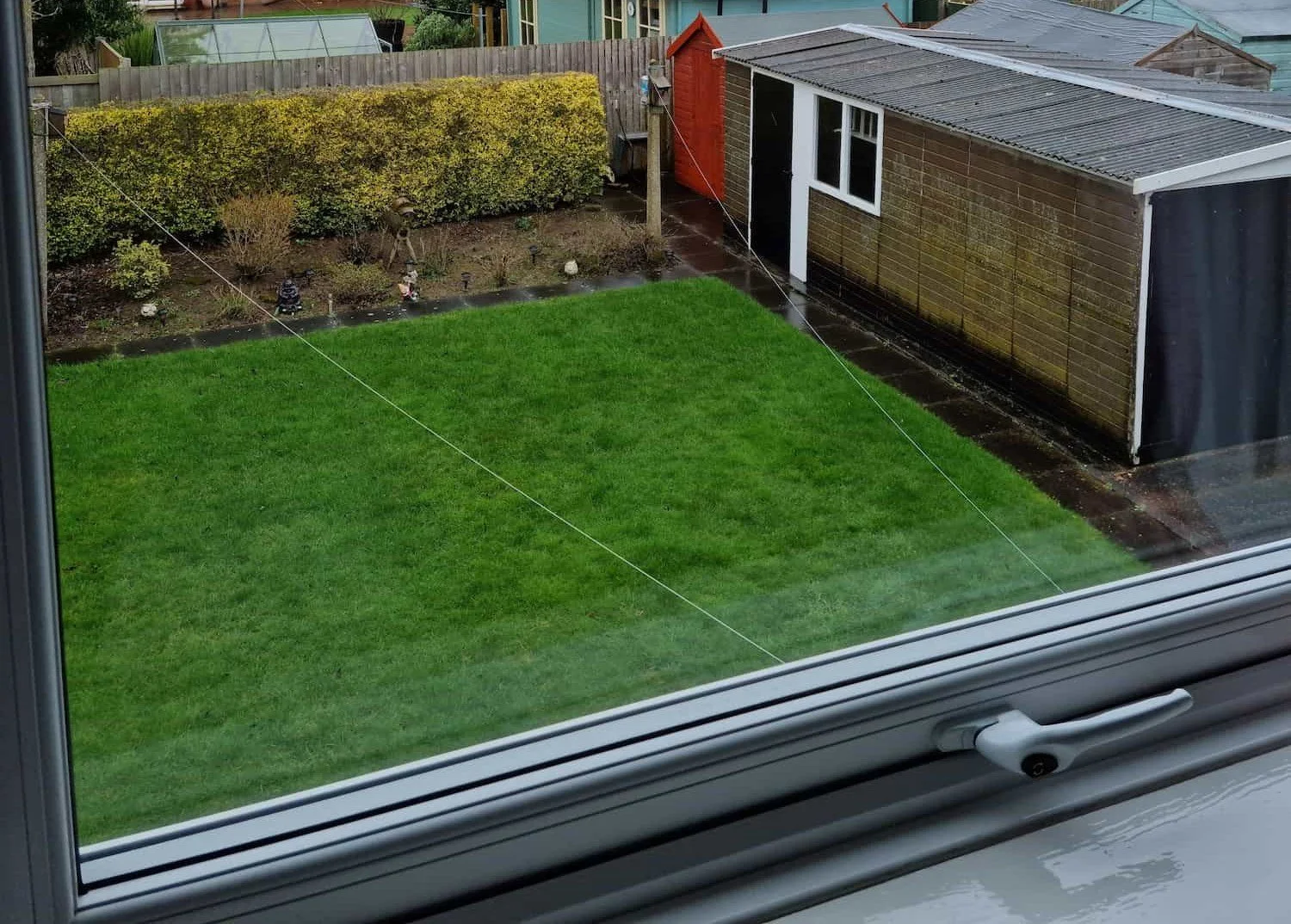 The original backyard lawn and garden space in 2022 before being transformed into a vegetable allotment.
