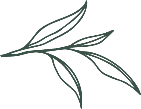 Simple line drawing of a sprig with several elongated leaves.