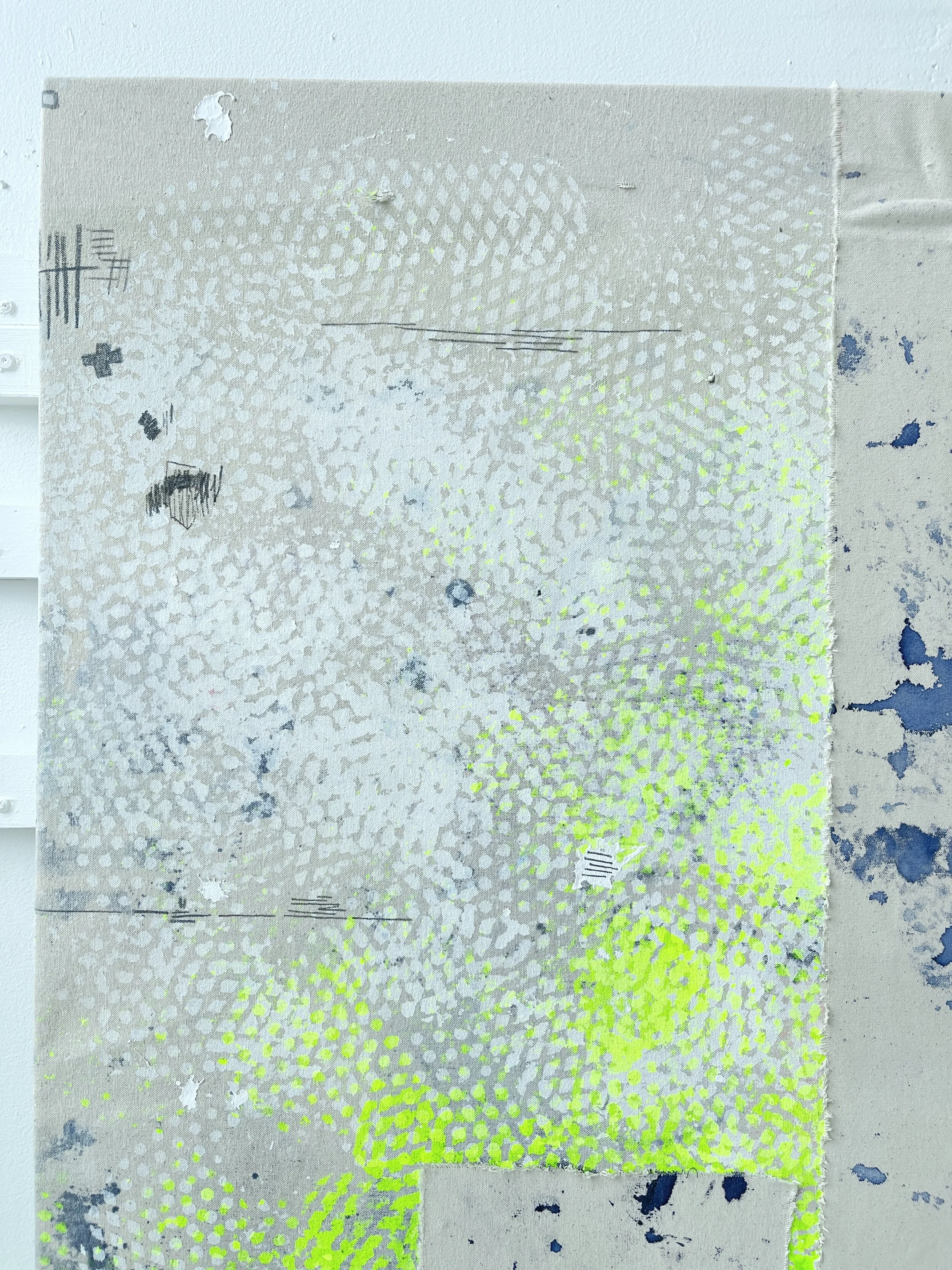 Phantom Freckles_II_Detail_IMG_6530.jpg