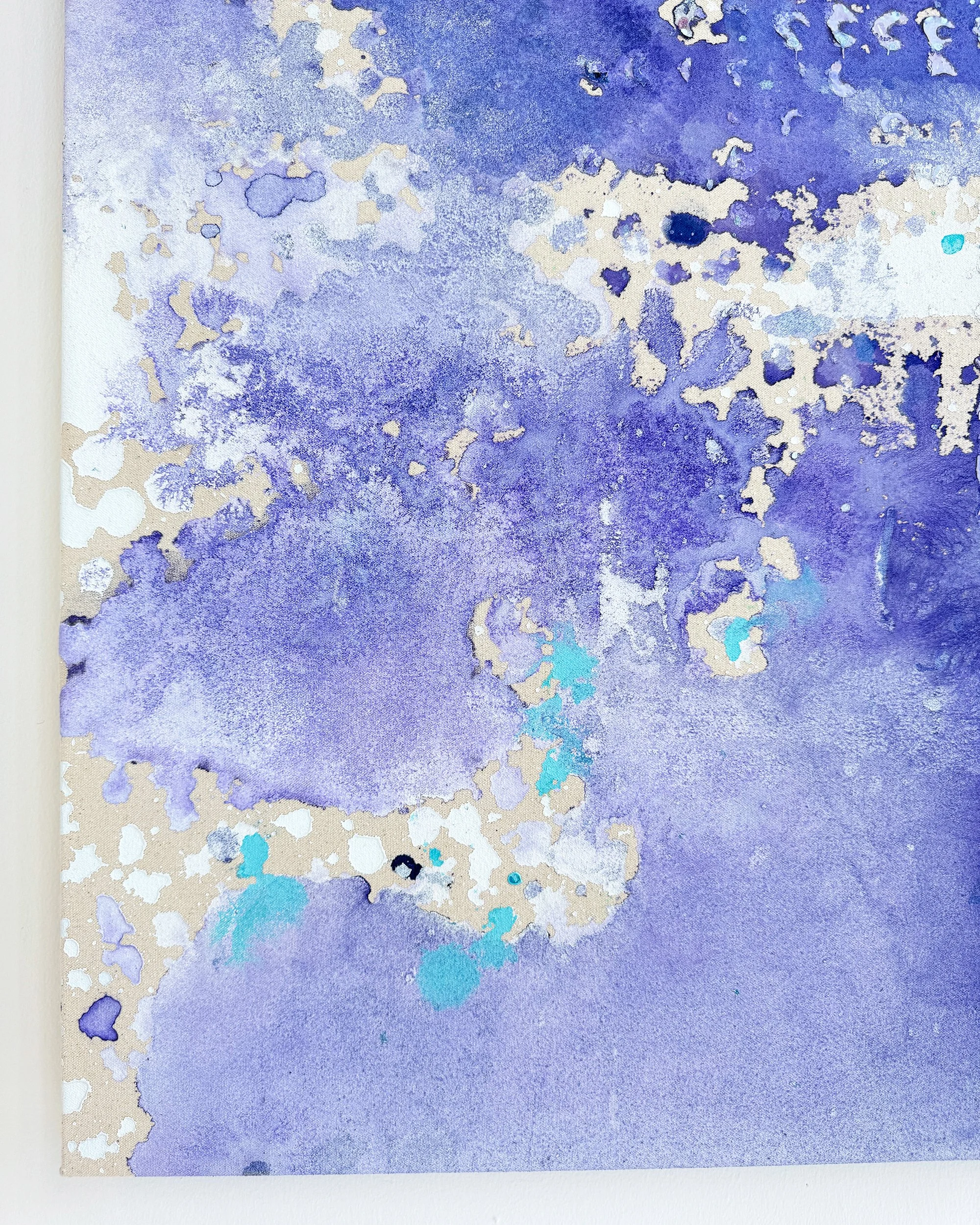 Nova-Drift-6.jpg