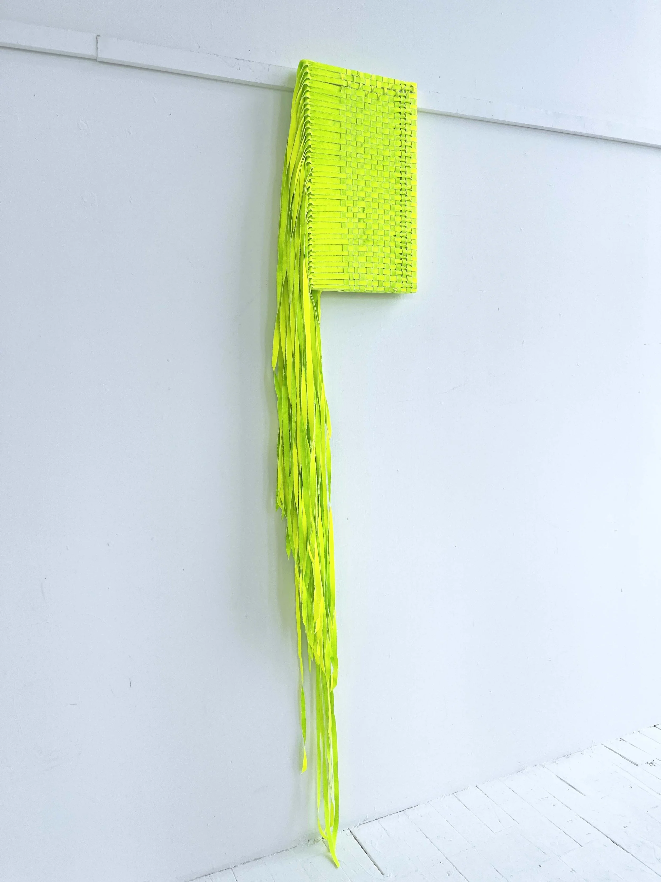 Centipede_detail 1.JPG