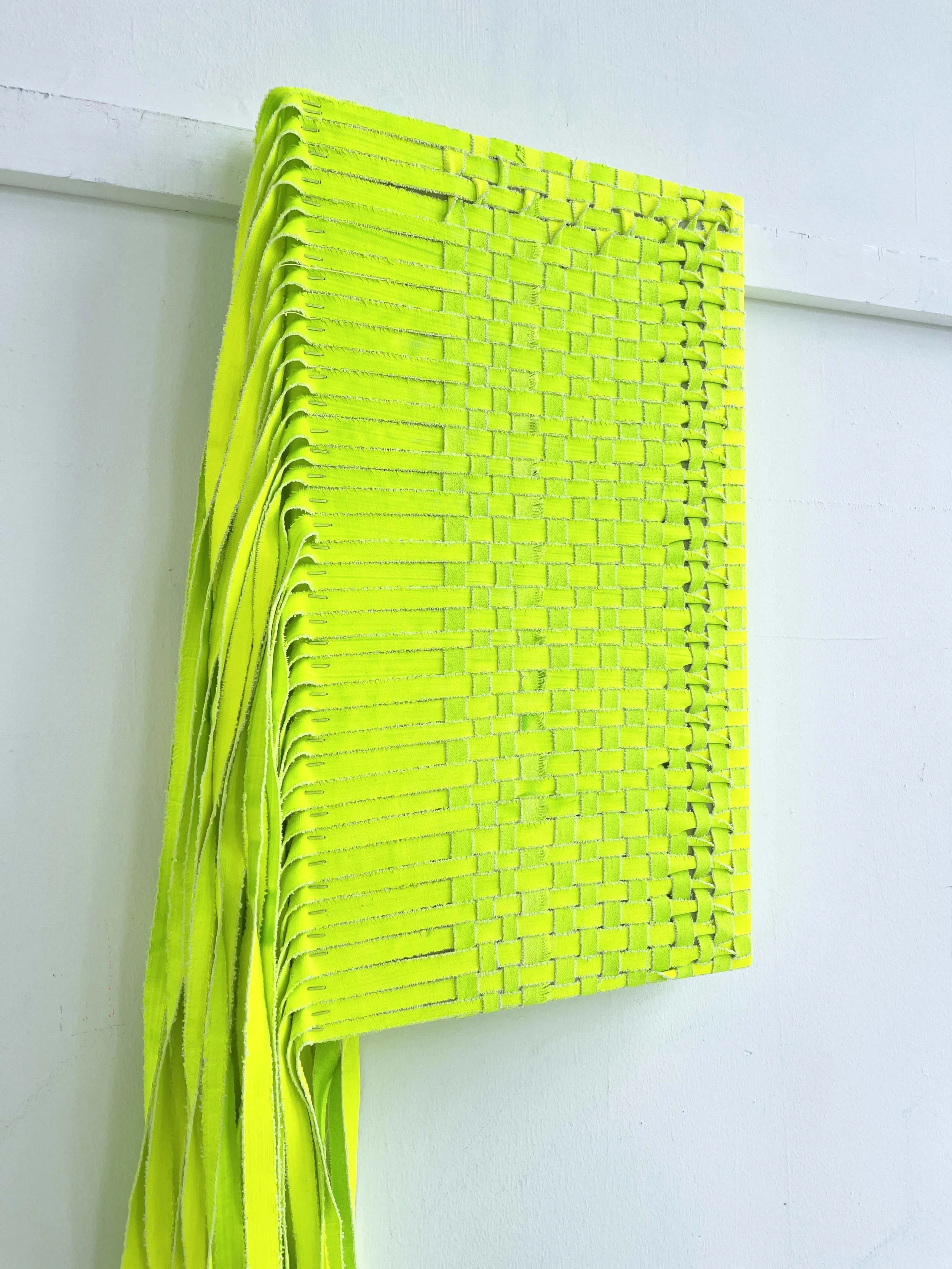 Centipede_detail 2.JPG