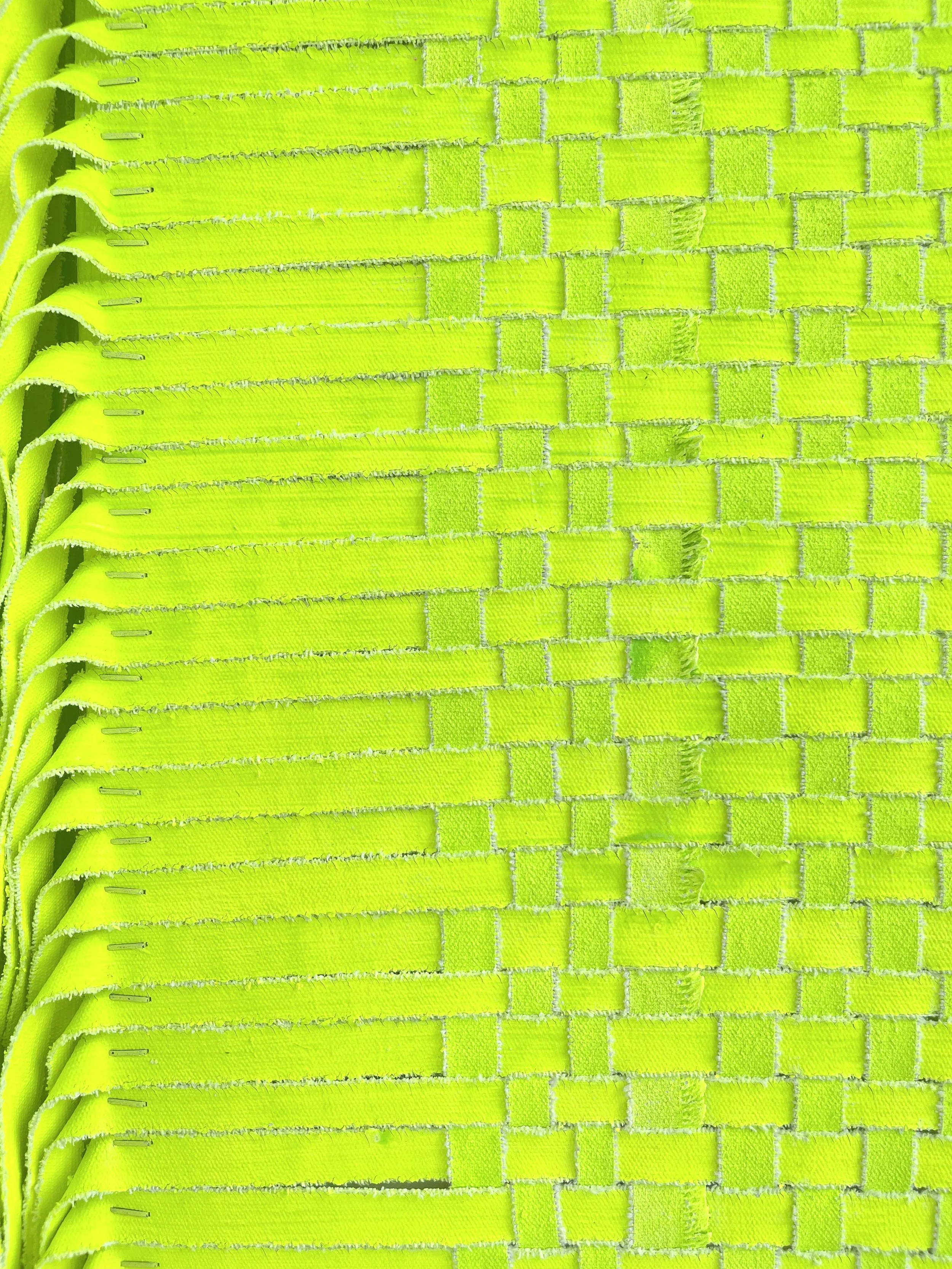 Centipede_detail 4.JPG