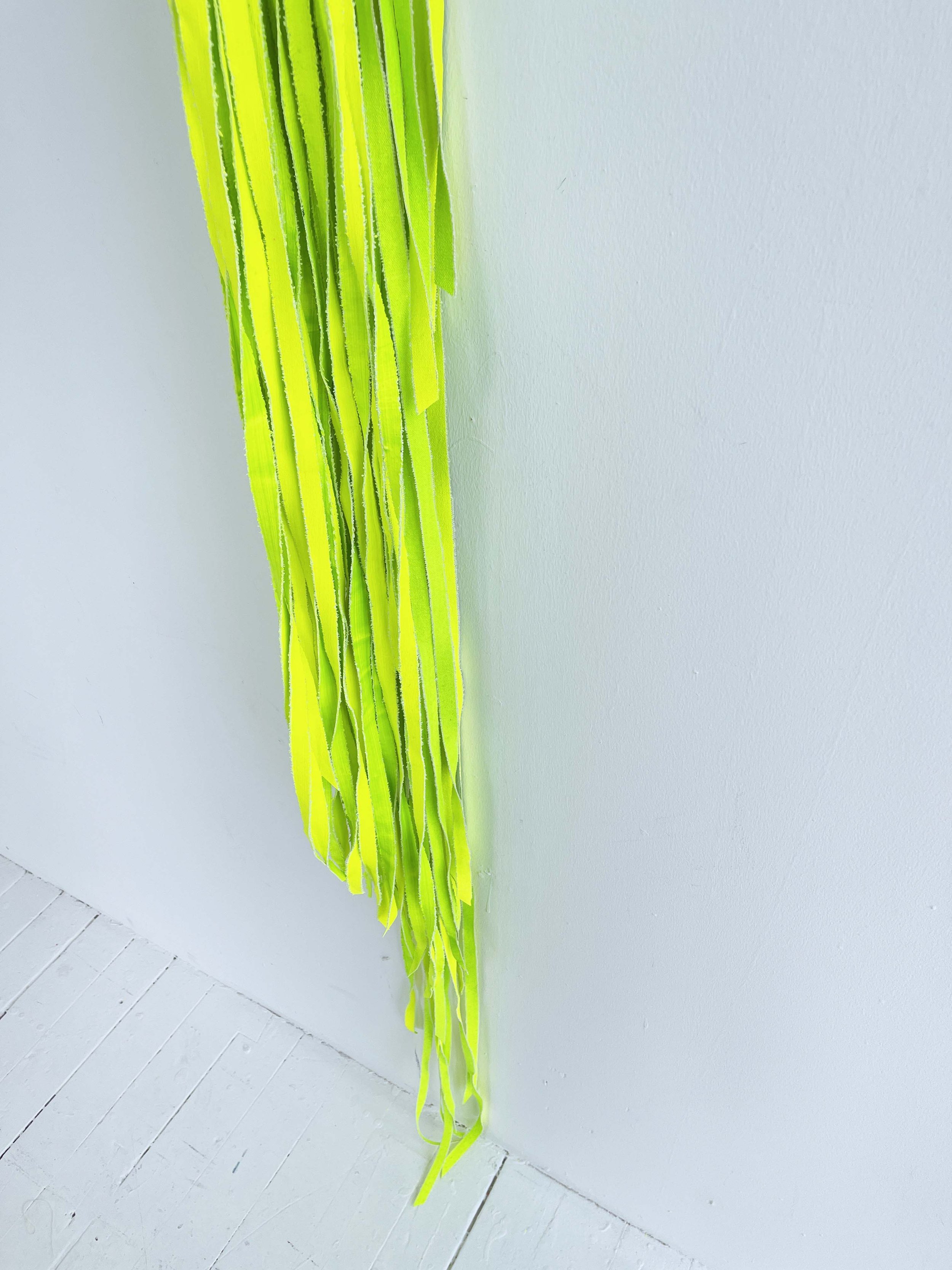 Centipede_detail 5.JPG