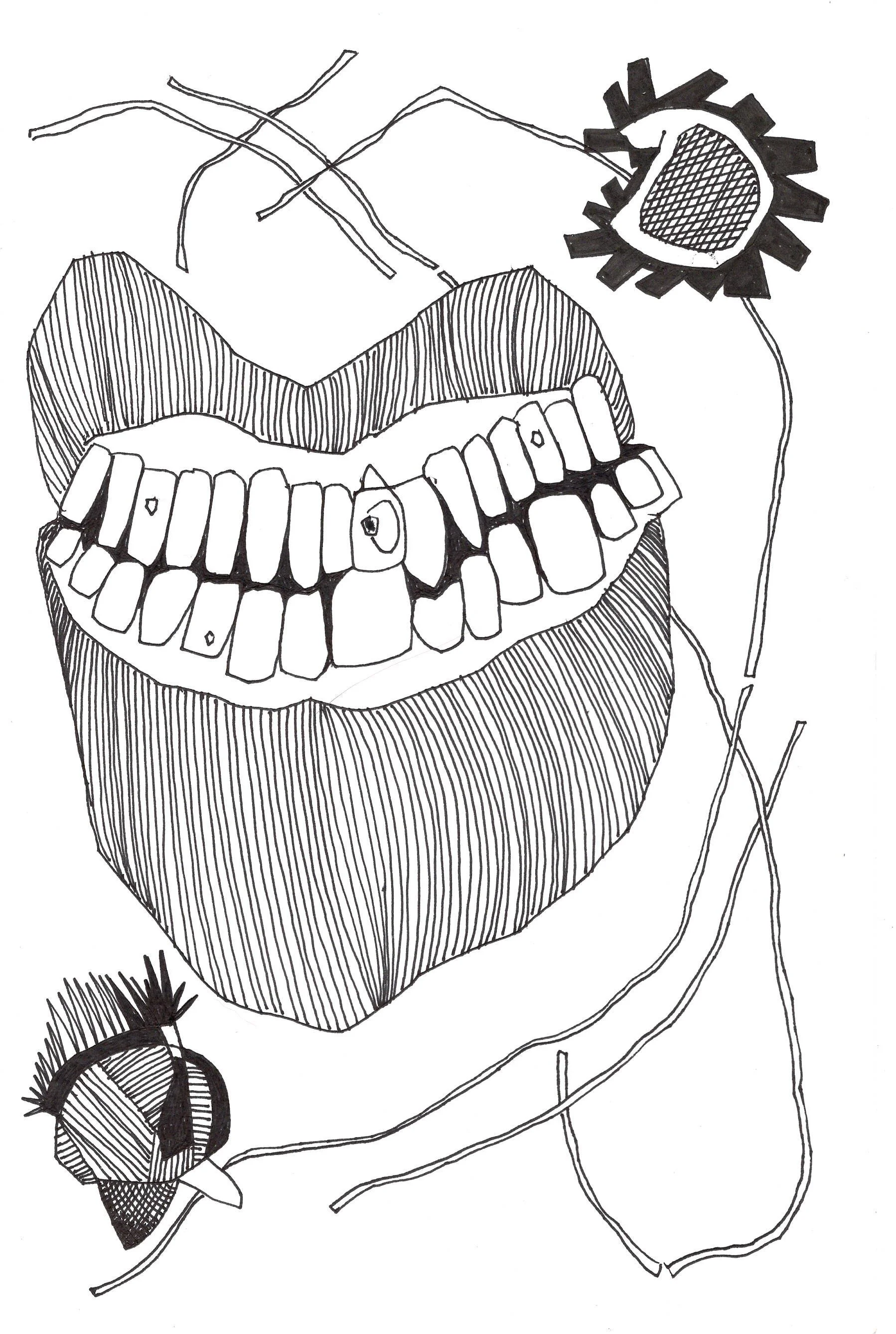 ALL TEETH