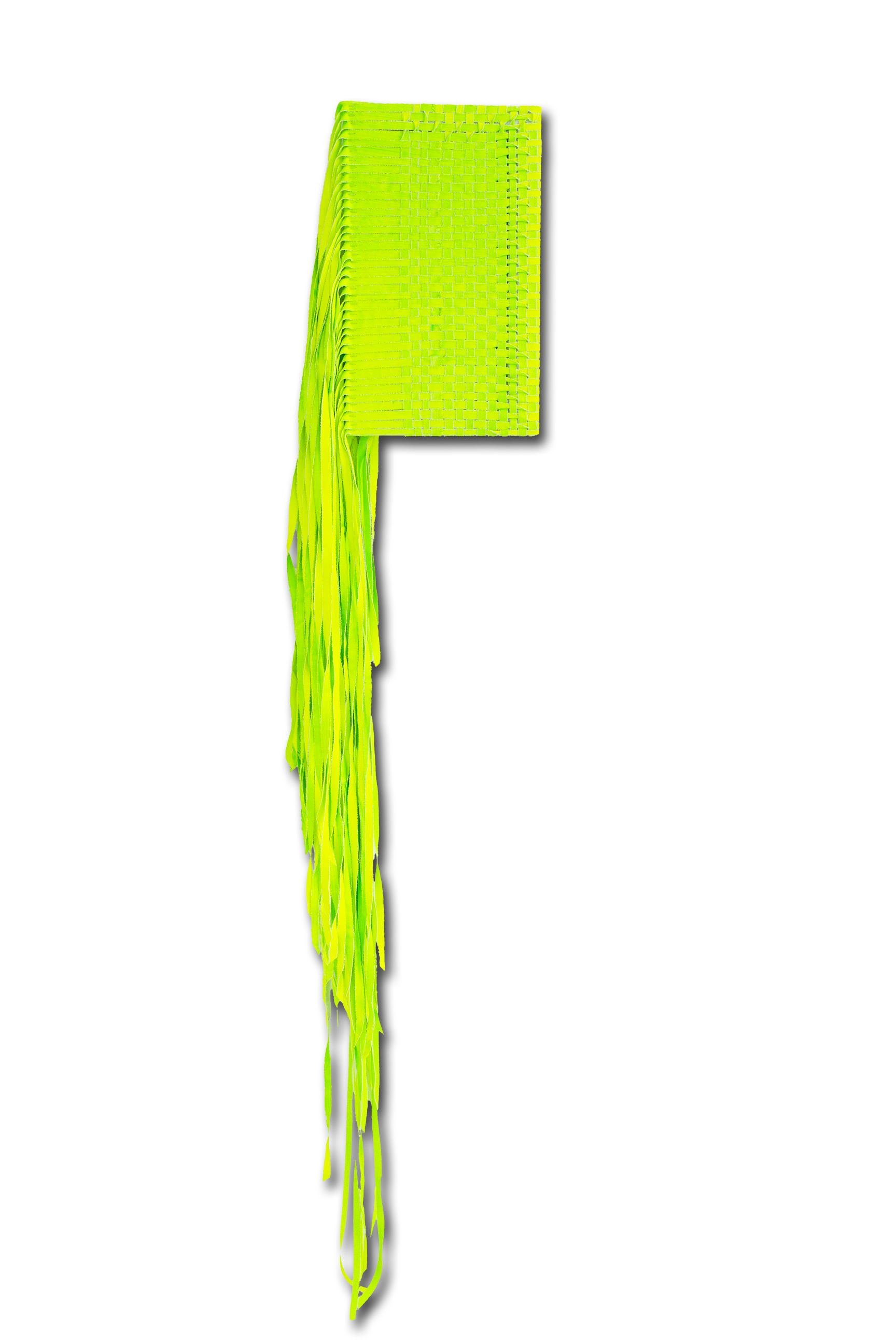 CENTIPEDE