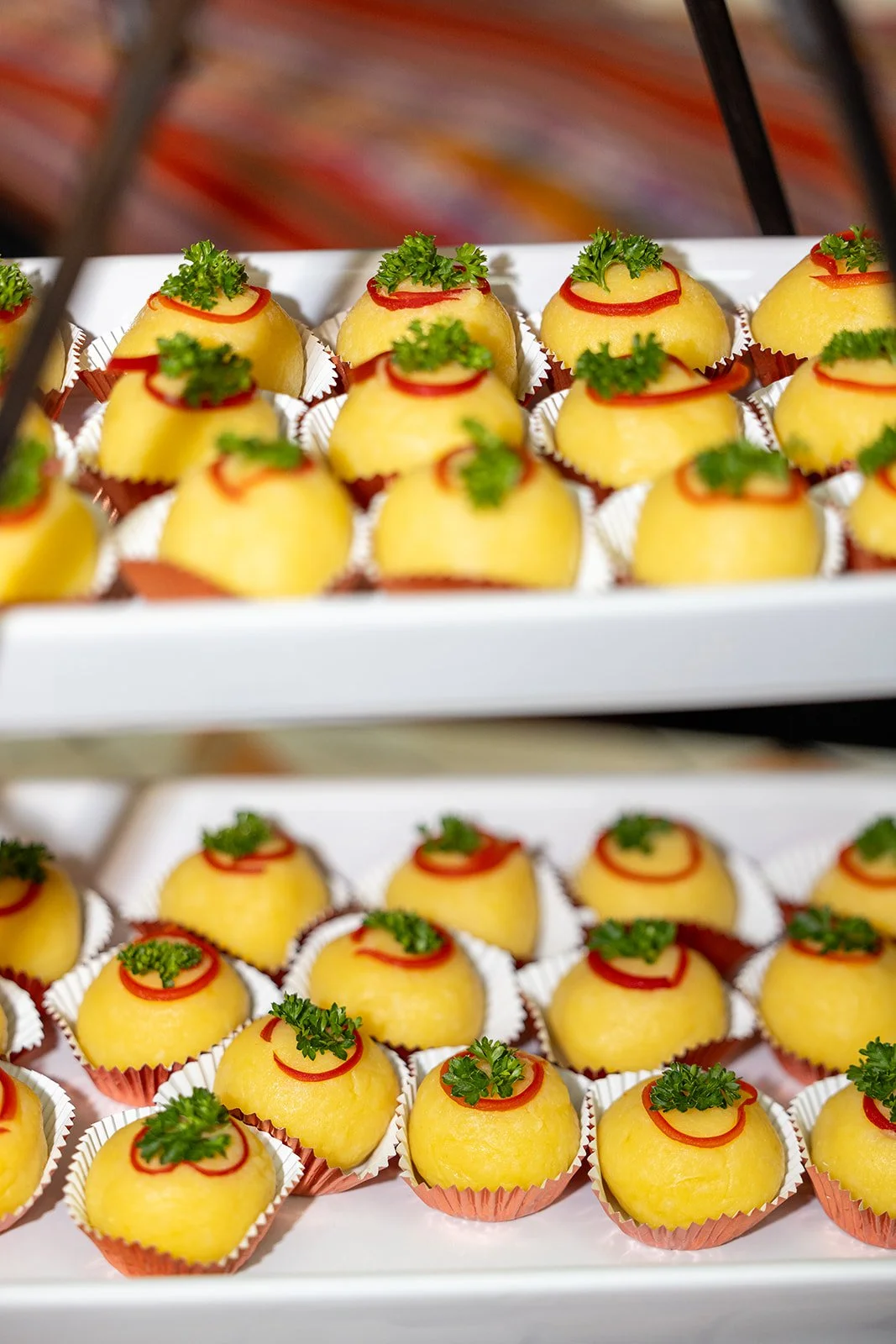 SFSBW_Closing Party_2024-54.jpg