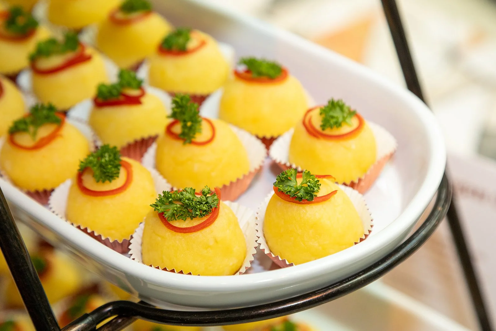 SFSBW_Closing Party_2024-59.jpg