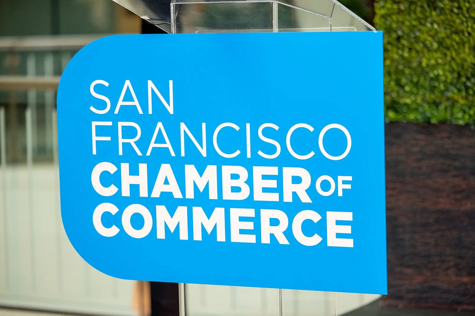 SFSBW_Closing Party_2024-11.jpg