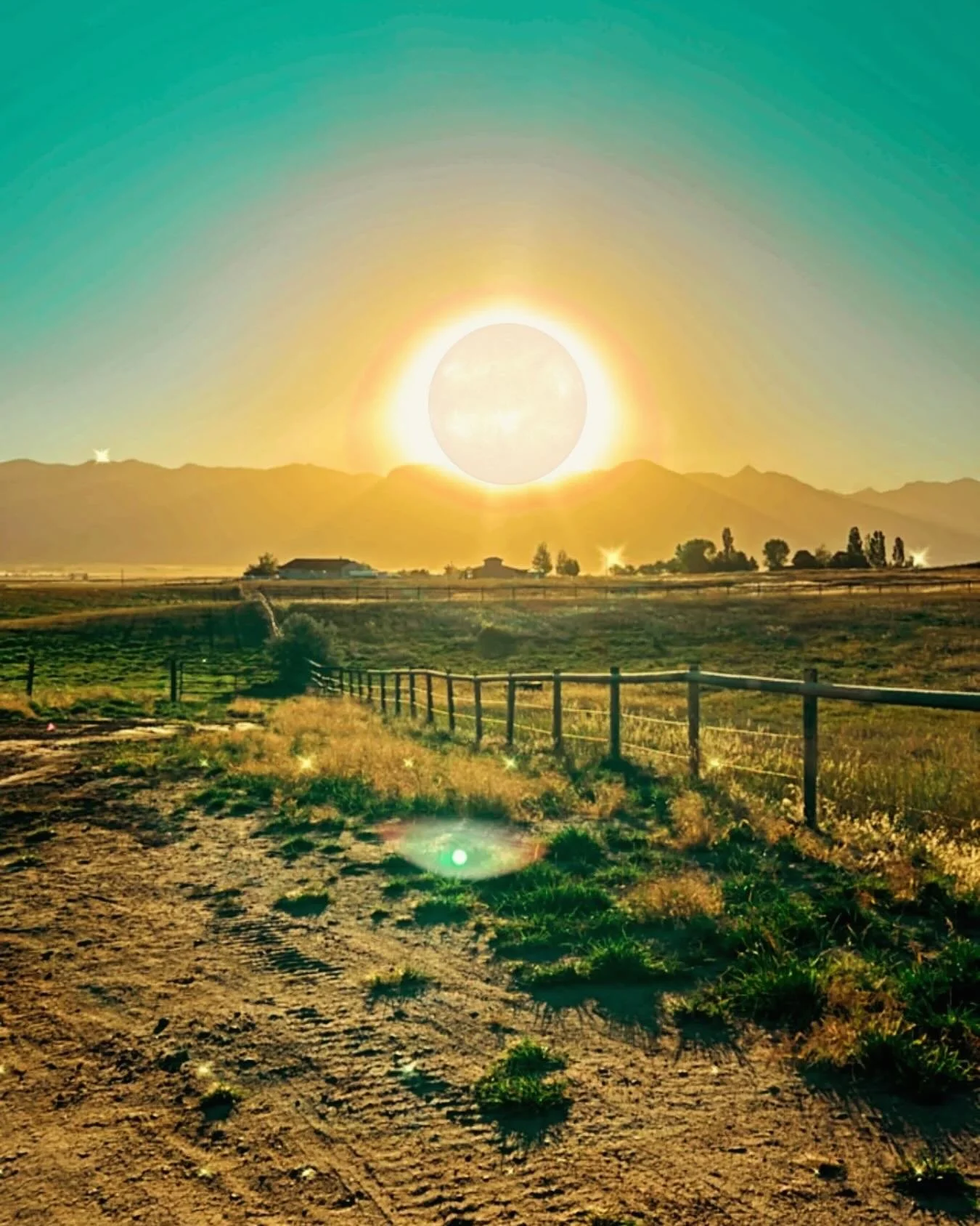 Morning views from our recent job site.

☀️