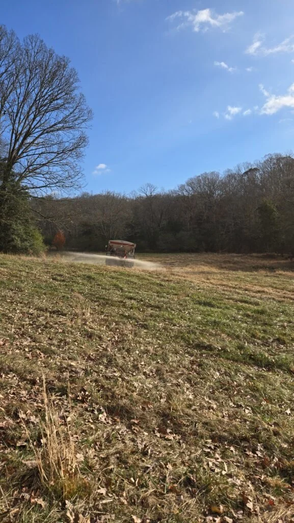 A grassy field with fallen leaves, a large leafless tree on the left, and a forested area in the background. A small red vehicle is driving across the field, kicking up dust under a partly cloudy blue sky.
