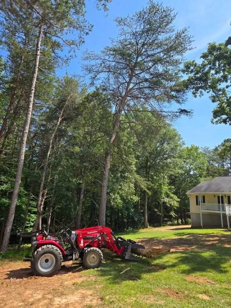 A red tractor with a front loader attachment parked on a grassy area next to a house, with trees and a blue sky in the background.