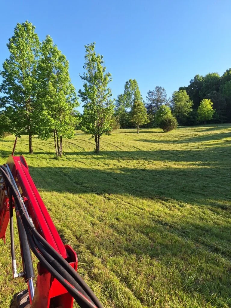 A view of a sunny, expansive grassy field with trees in the distance and a clear blue sky, partially captured with the edge of a red lawn mower in the foreground on the left.