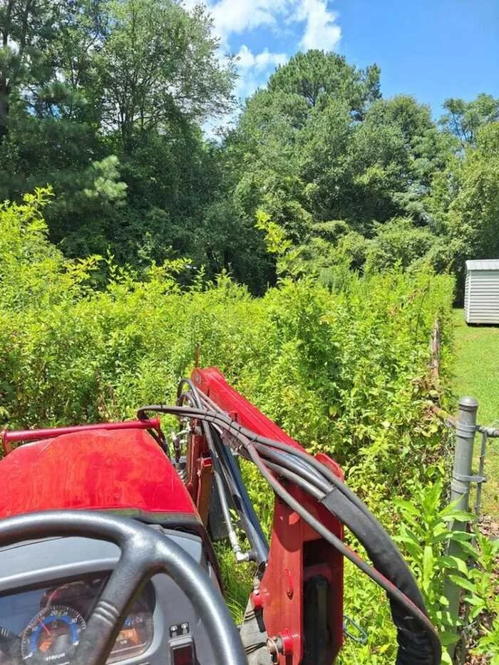 View from the operator's seat of a red tractor with the steering wheel and dashboard visible, surrounded by green bushes, with tall trees and a partly cloudy blue sky in the background.