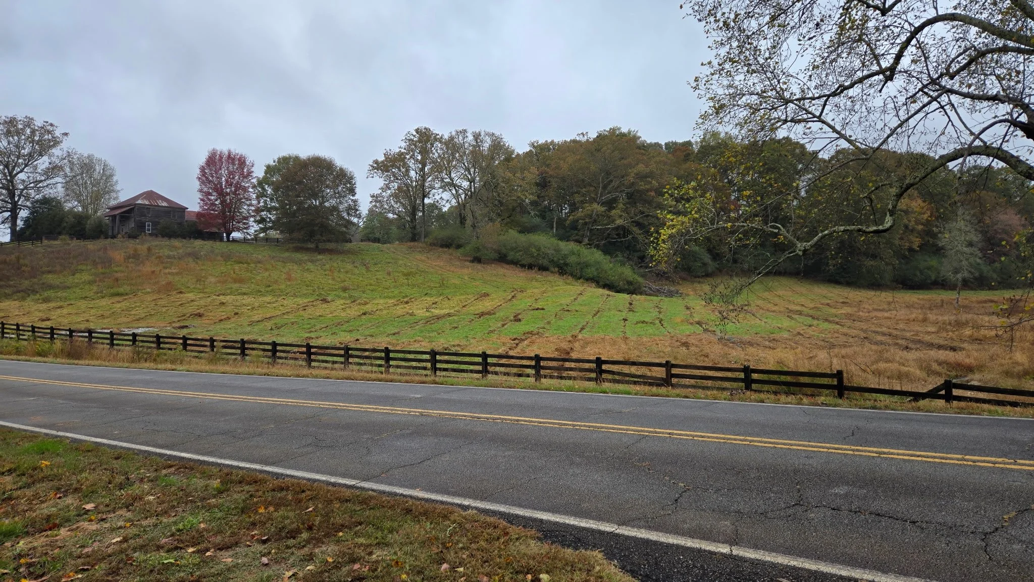 A rural landscape with a paved road in the foreground, a wooden fence, a grassy hill with a small house and trees, some with autumn-colored leaves, under an overcast sky.