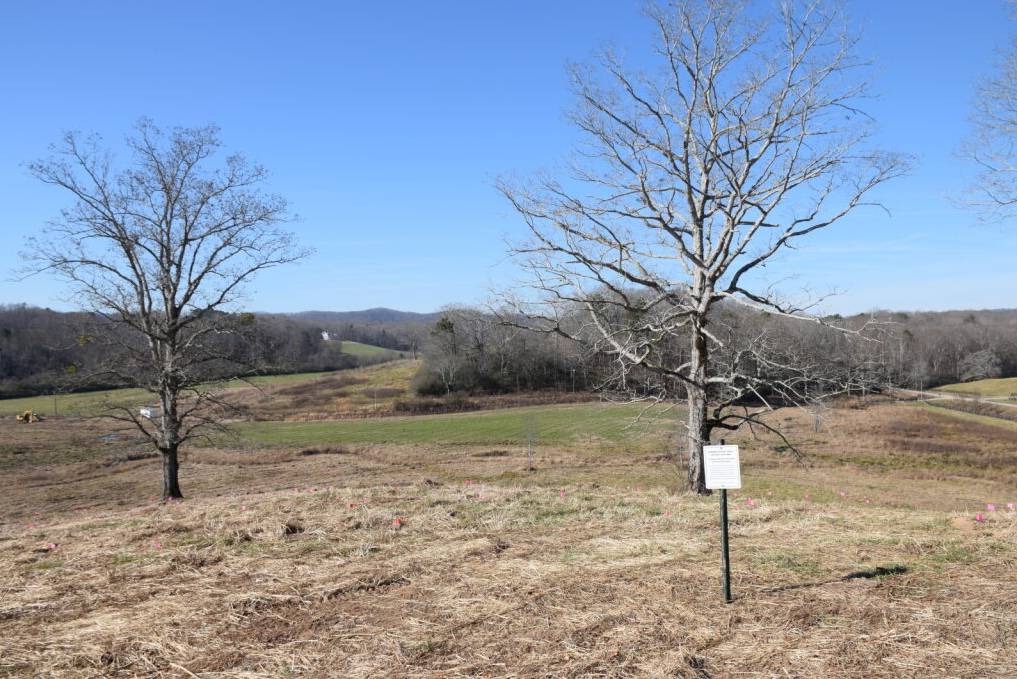 Landscape with two leafless trees, grassy fields, distant hills, and a clear blue sky.